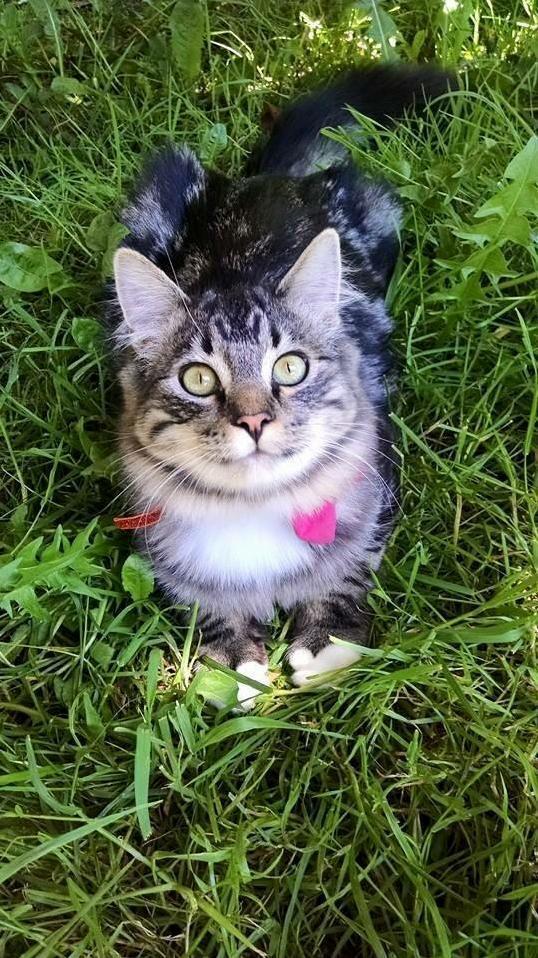 Spring Frolicking