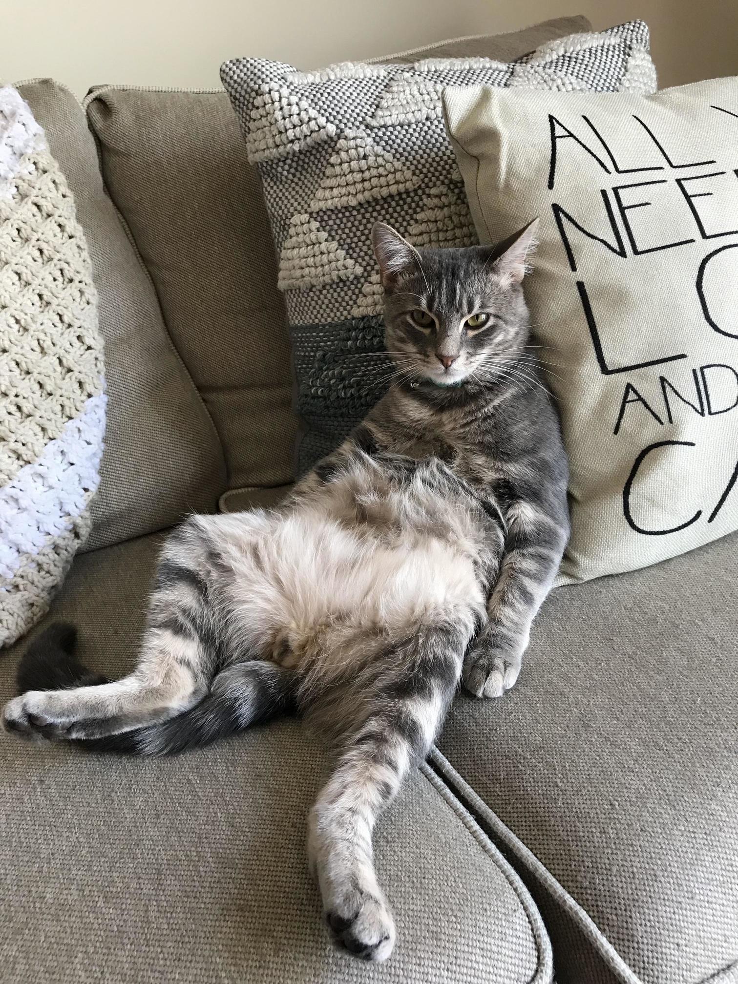 Straight Chillin