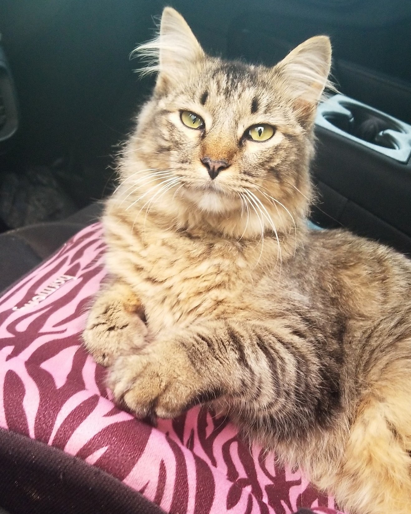 Such a Handsome Boy~