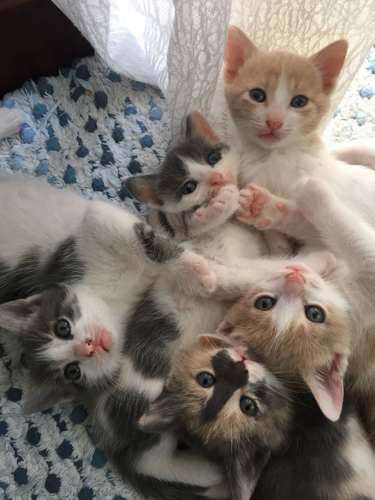 Ten Curious Eyes