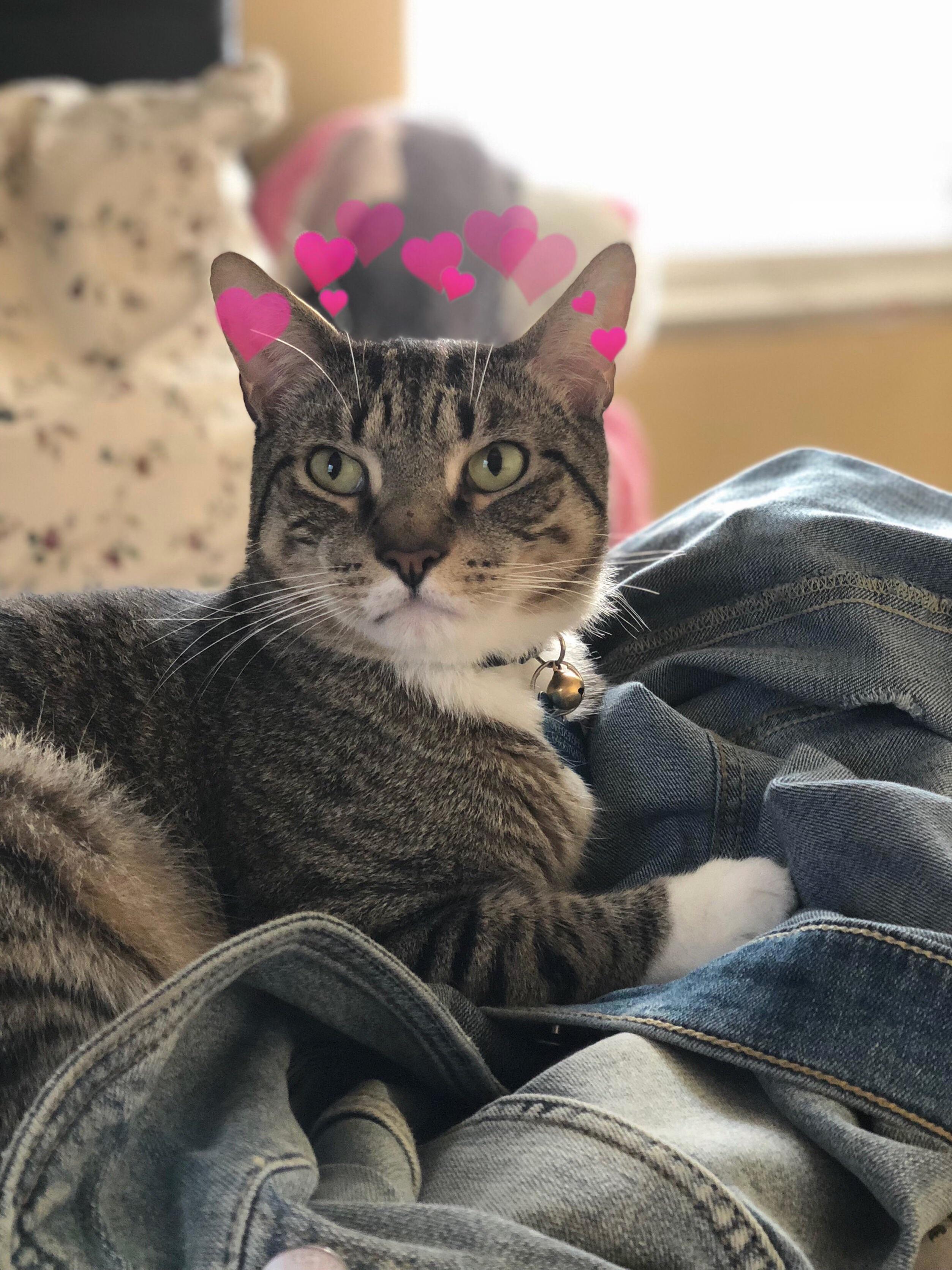 The Love of My Life!  He Turned 4 Years Last Month
