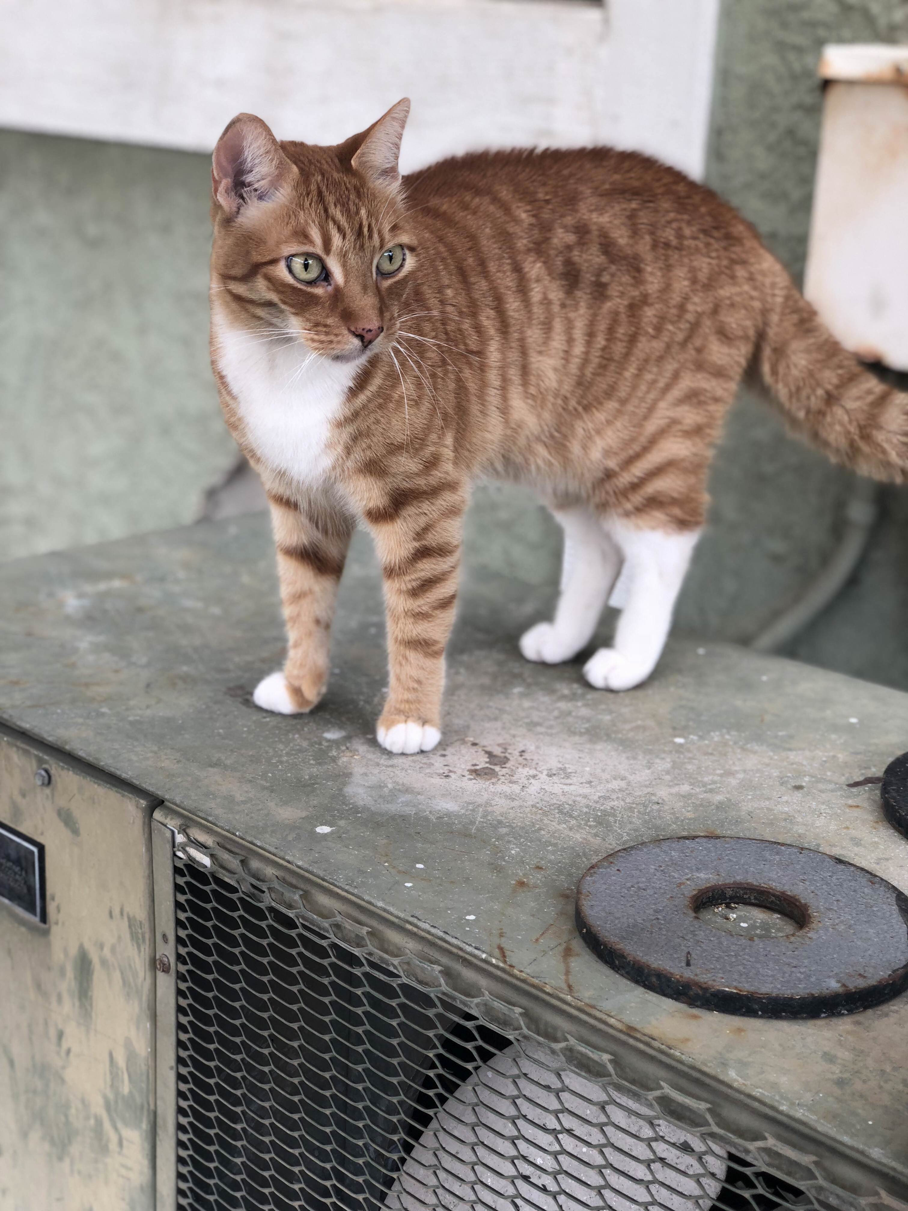 This Is Jd and Hes Pretty Damn Handsome