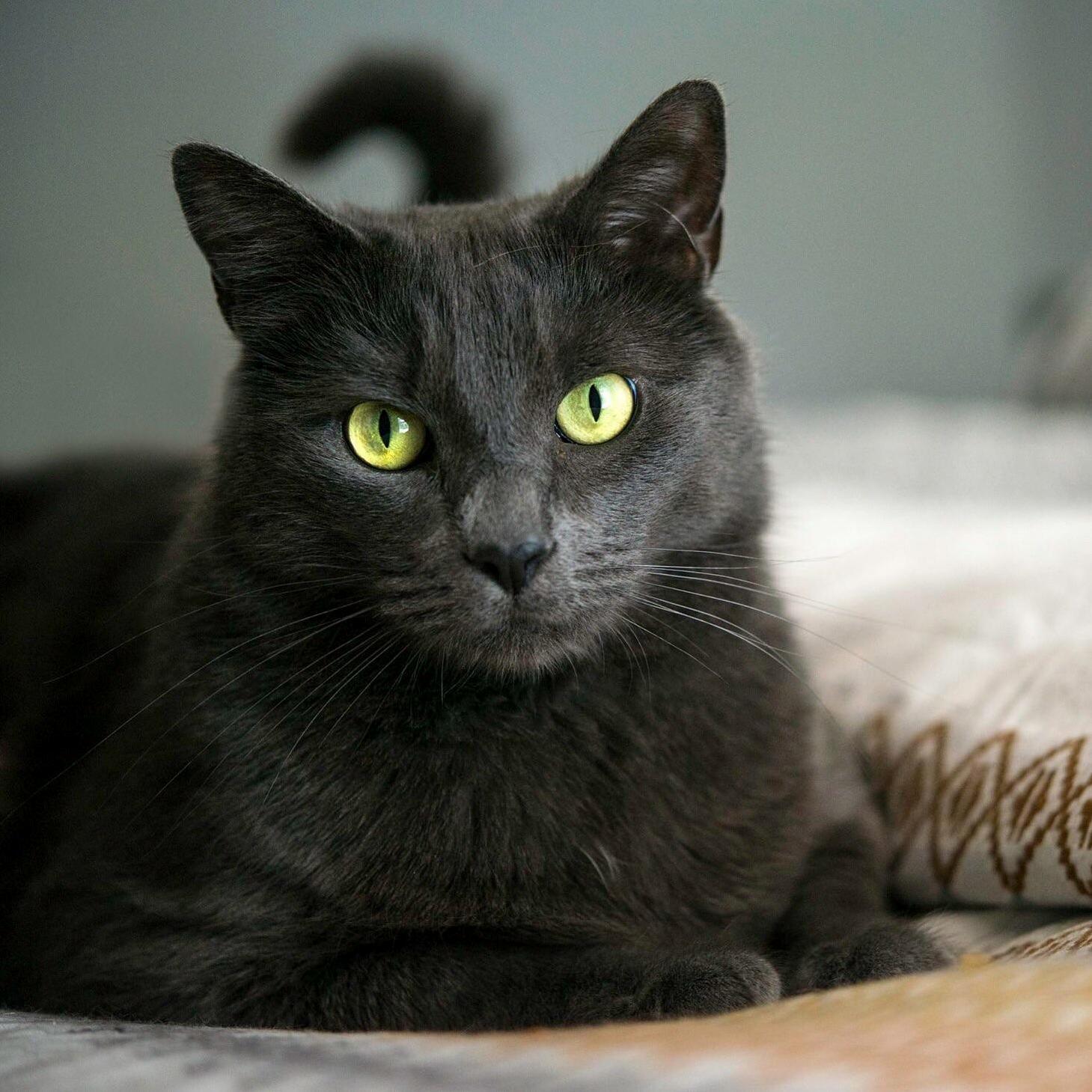 This Is Odysseus.