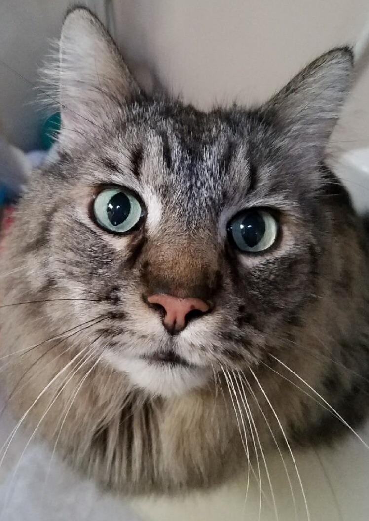 This Look Means Im Supposed to Do Something, but What