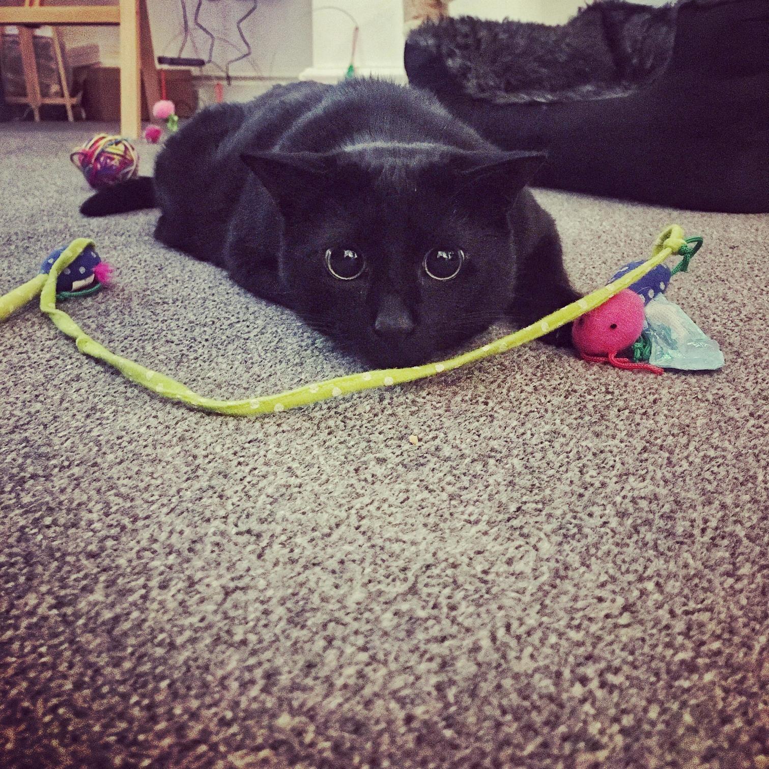 Those Eyes Get Me Every Time