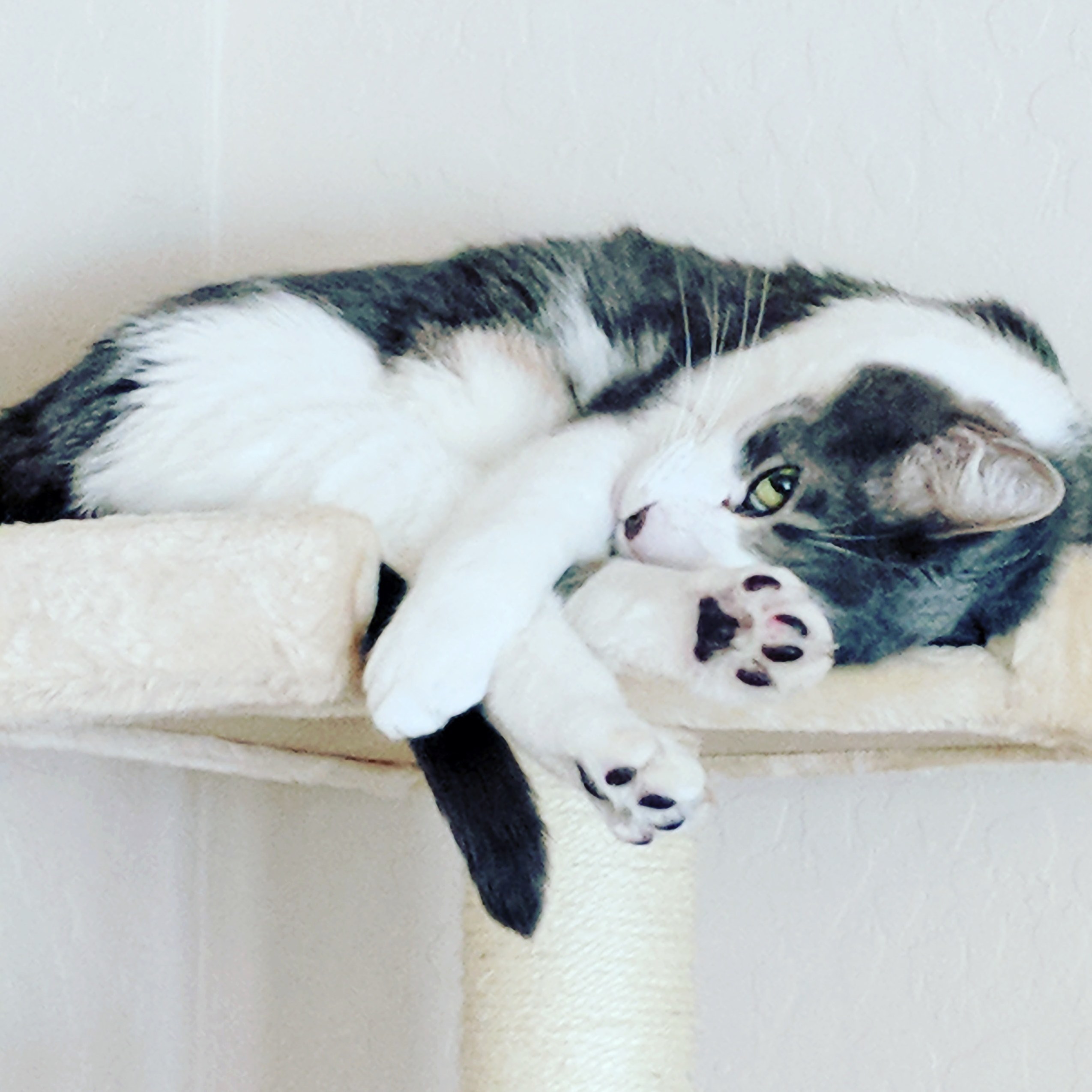 Those Lazy Afternoons