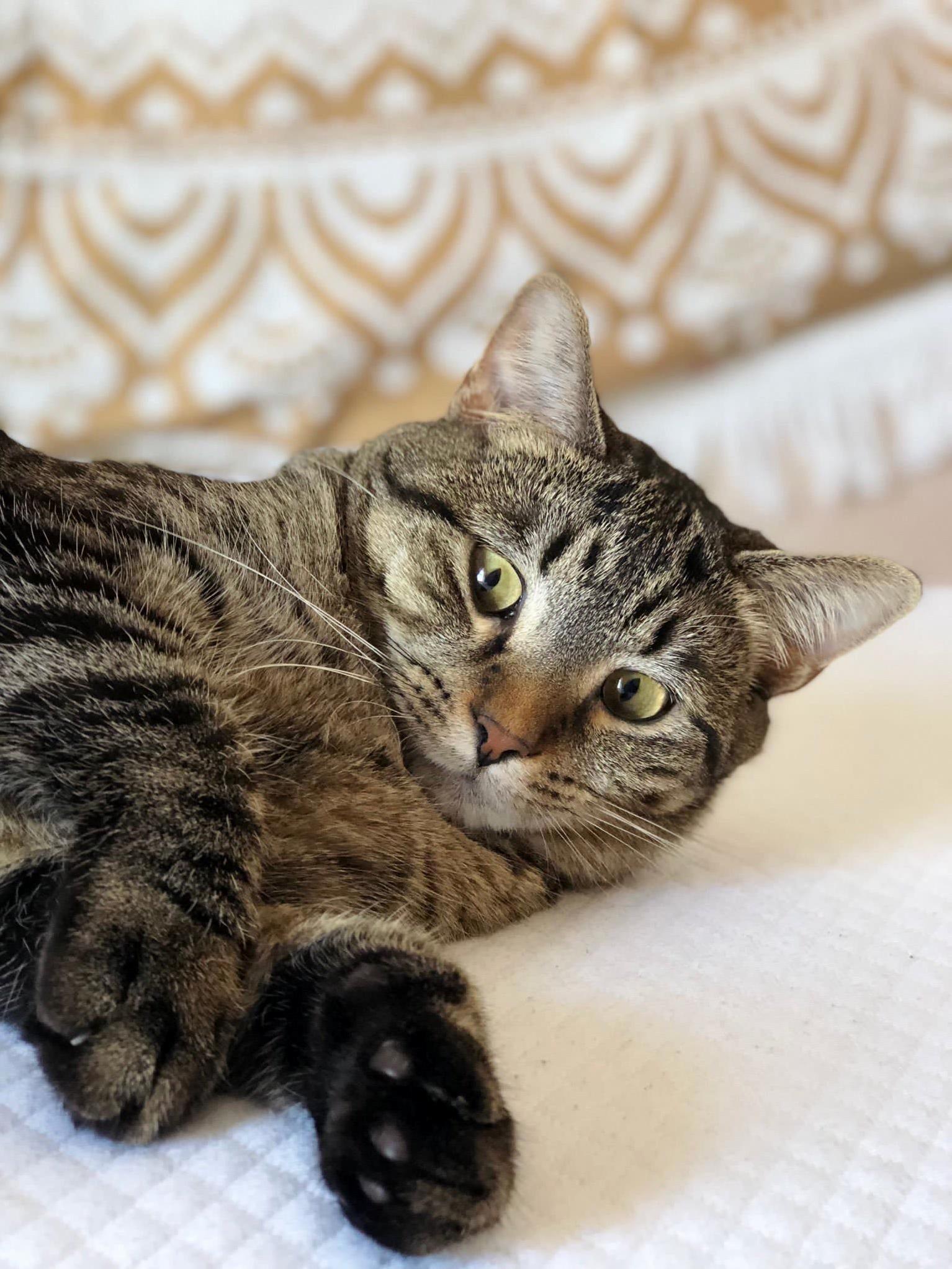 We Named Her Aquila