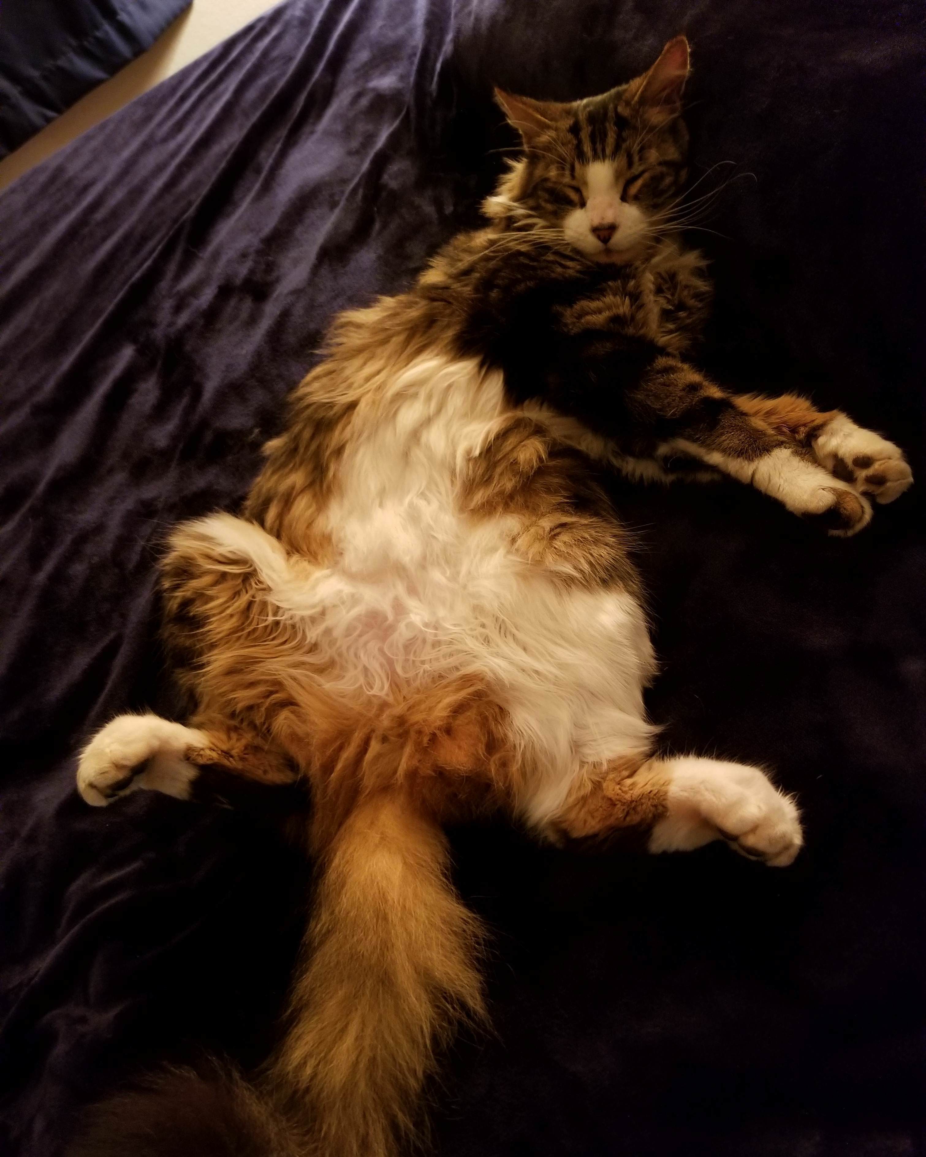 What a Position