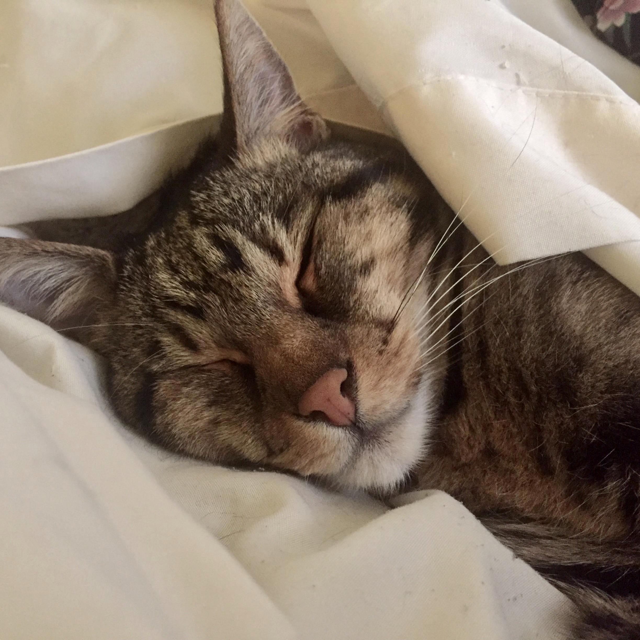 When Its Saturday Morning and You Wake Up Next to a Naked Weirdo.