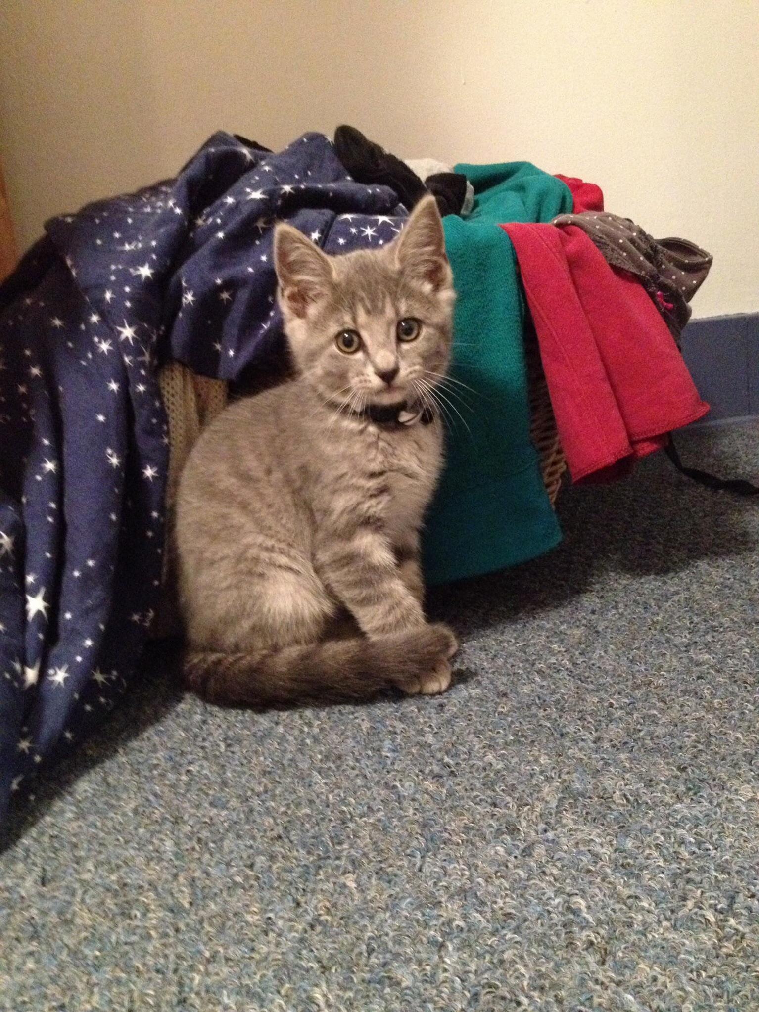 When Vlad Was Just a Little Guy.