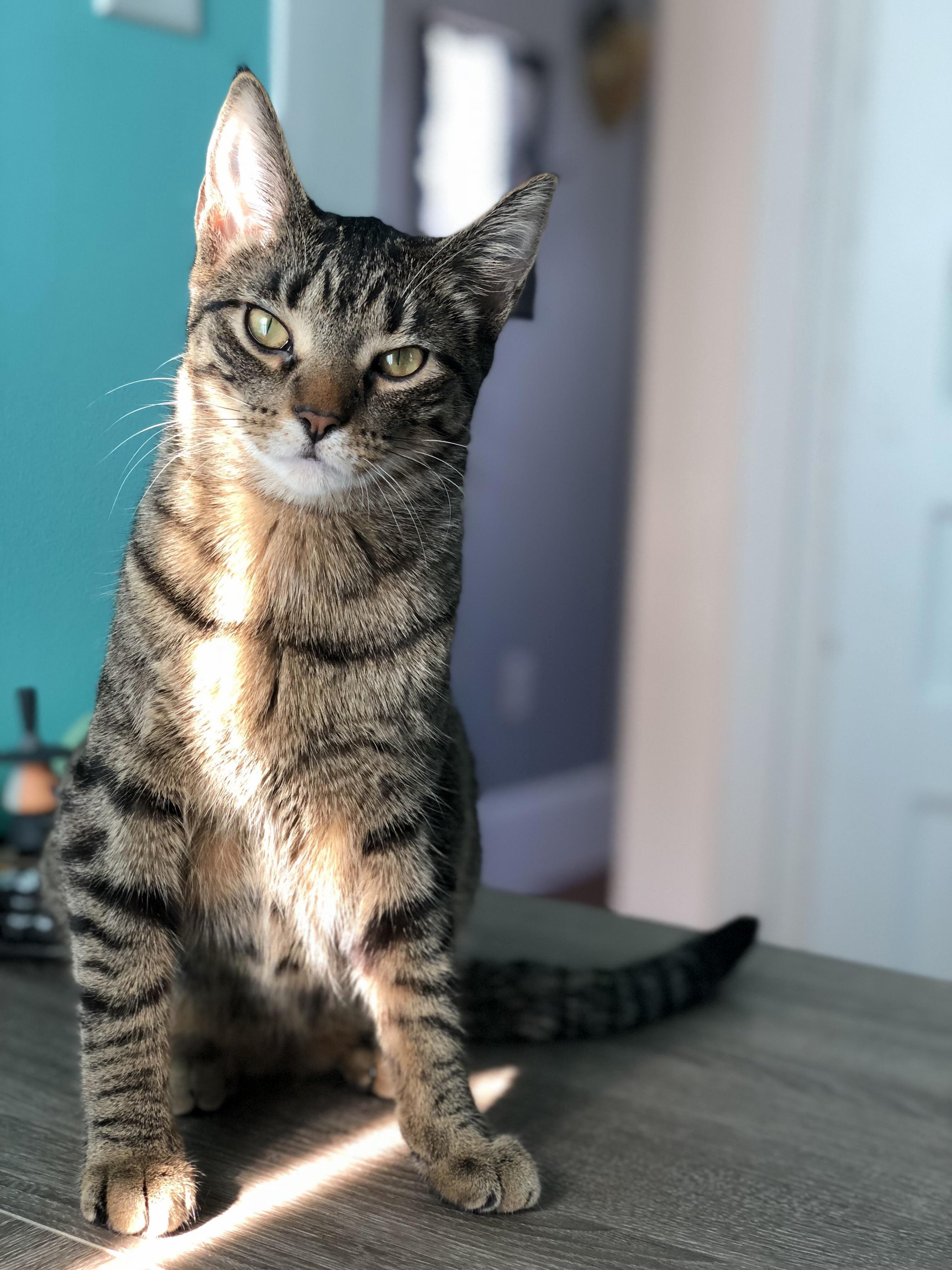 When Your Mom Wakes You Up from Your Nap for a Photo Shoot.