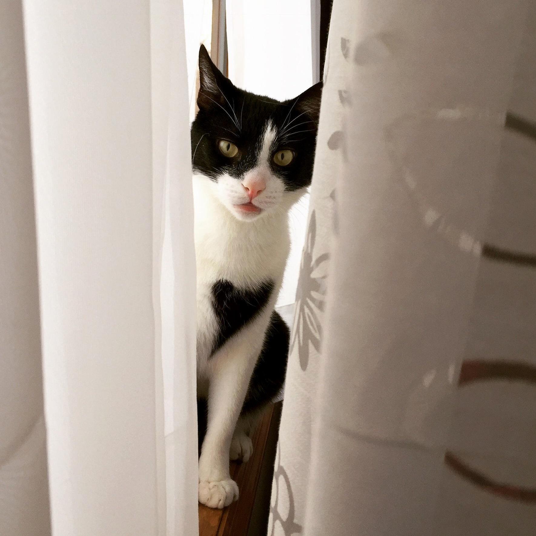 Who Might You Be (First Day at Home)