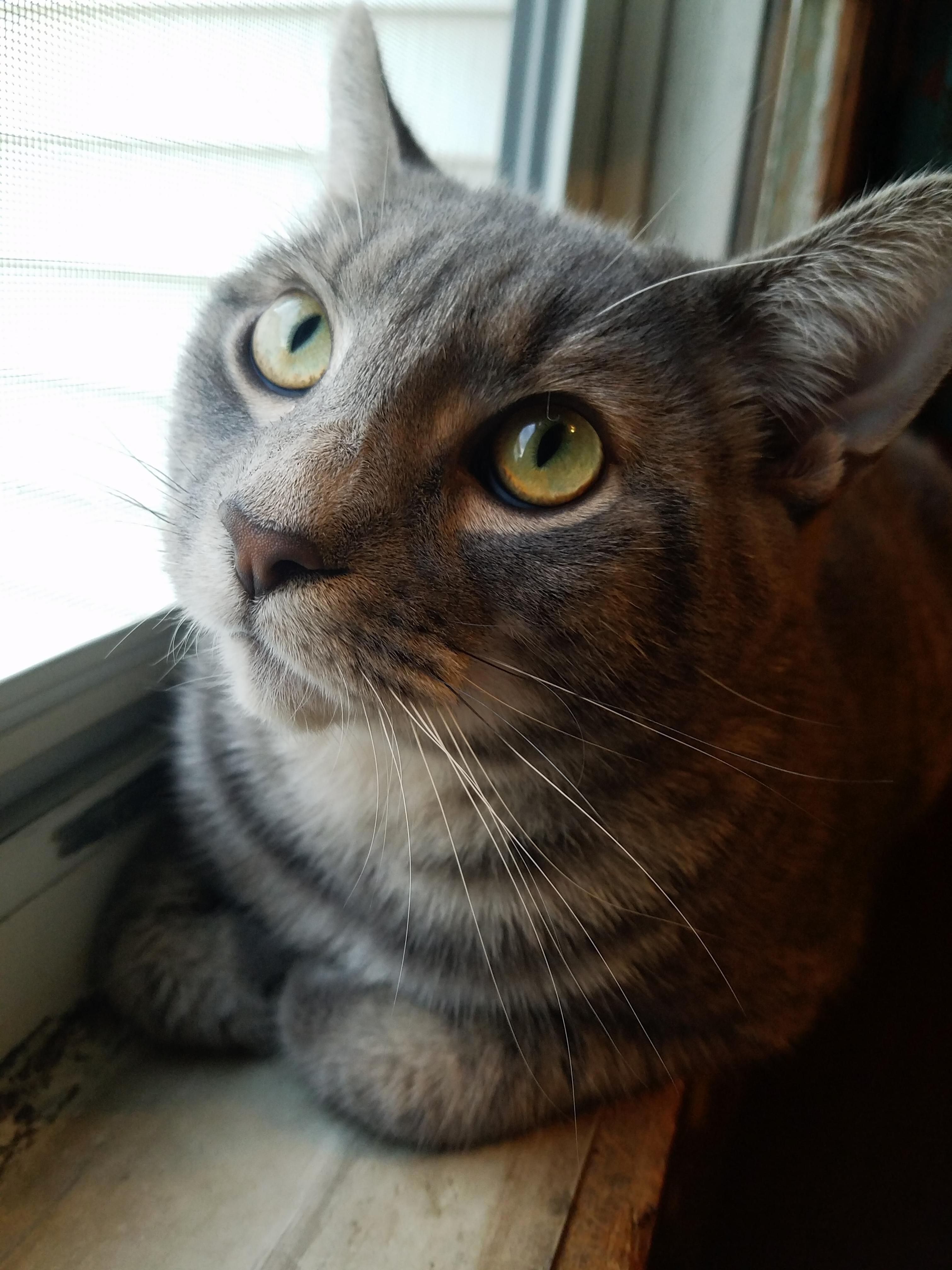 Window Sill Chilling