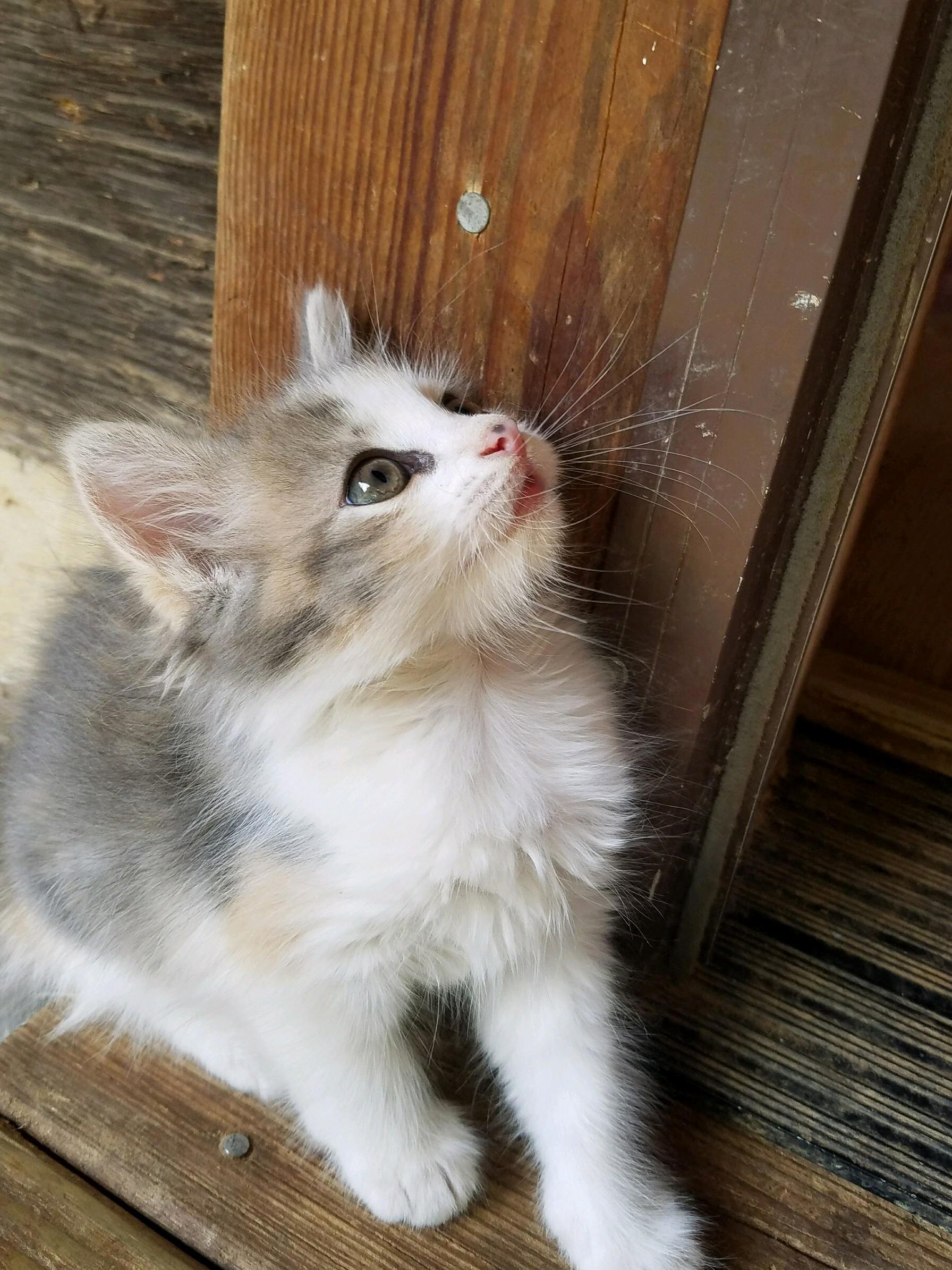 Wittle Baby Supermodel in Training...