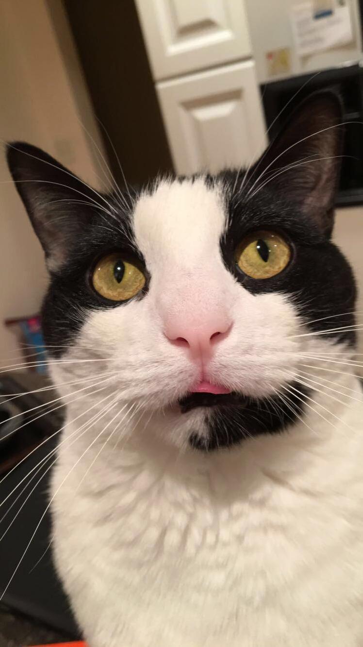 Xeno Being a Derp
