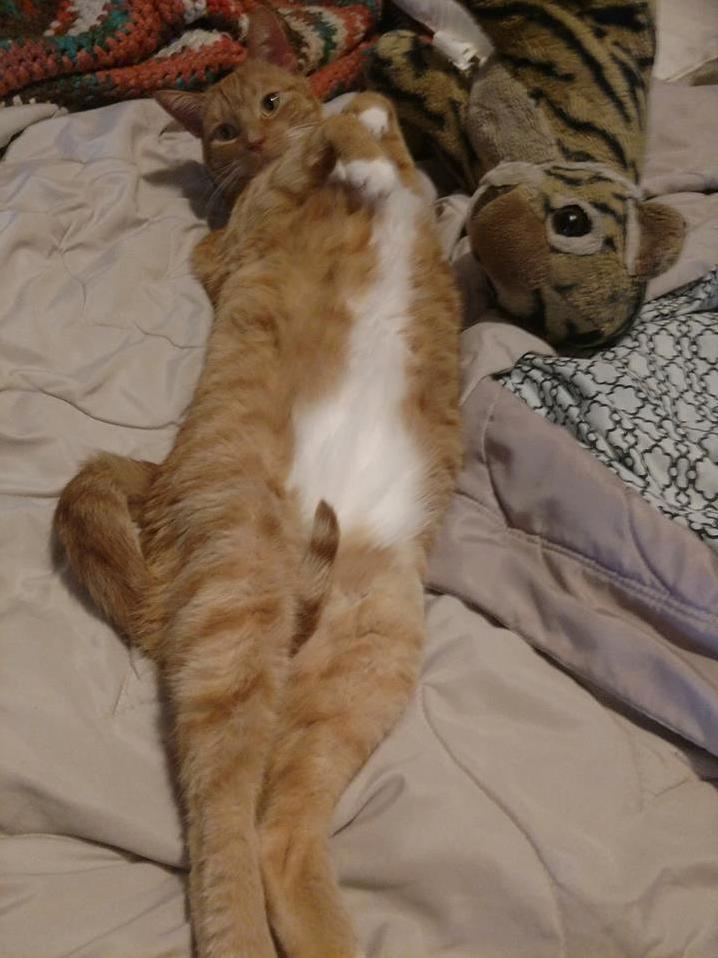 Yeah, You Like What You See