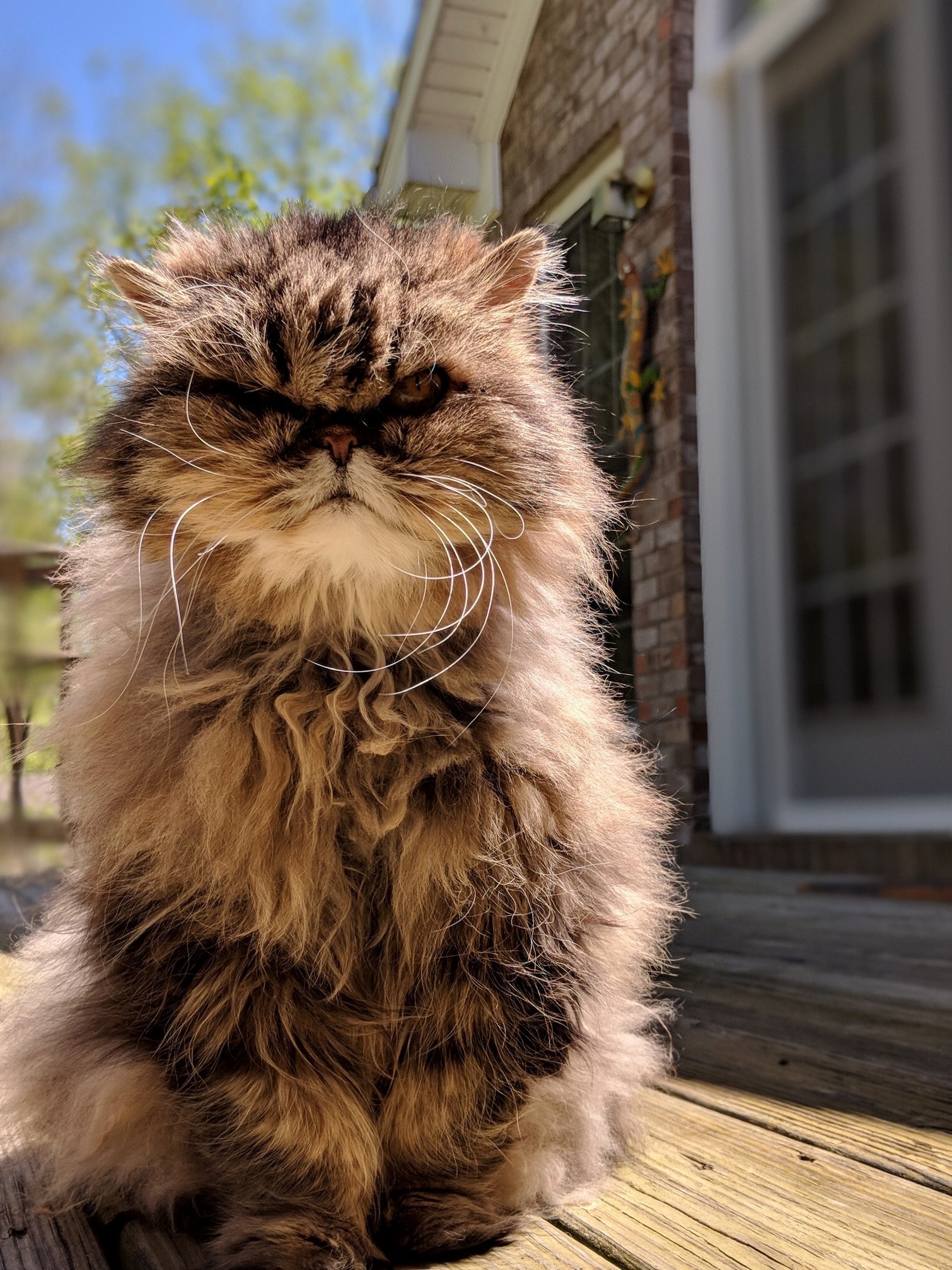 You Shall Not Pass