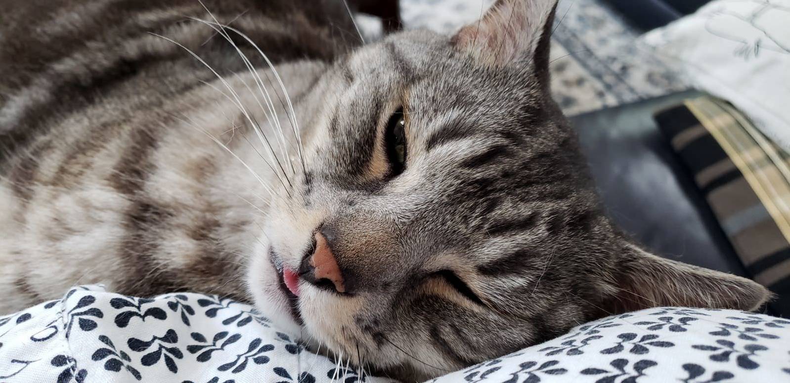 ;-P