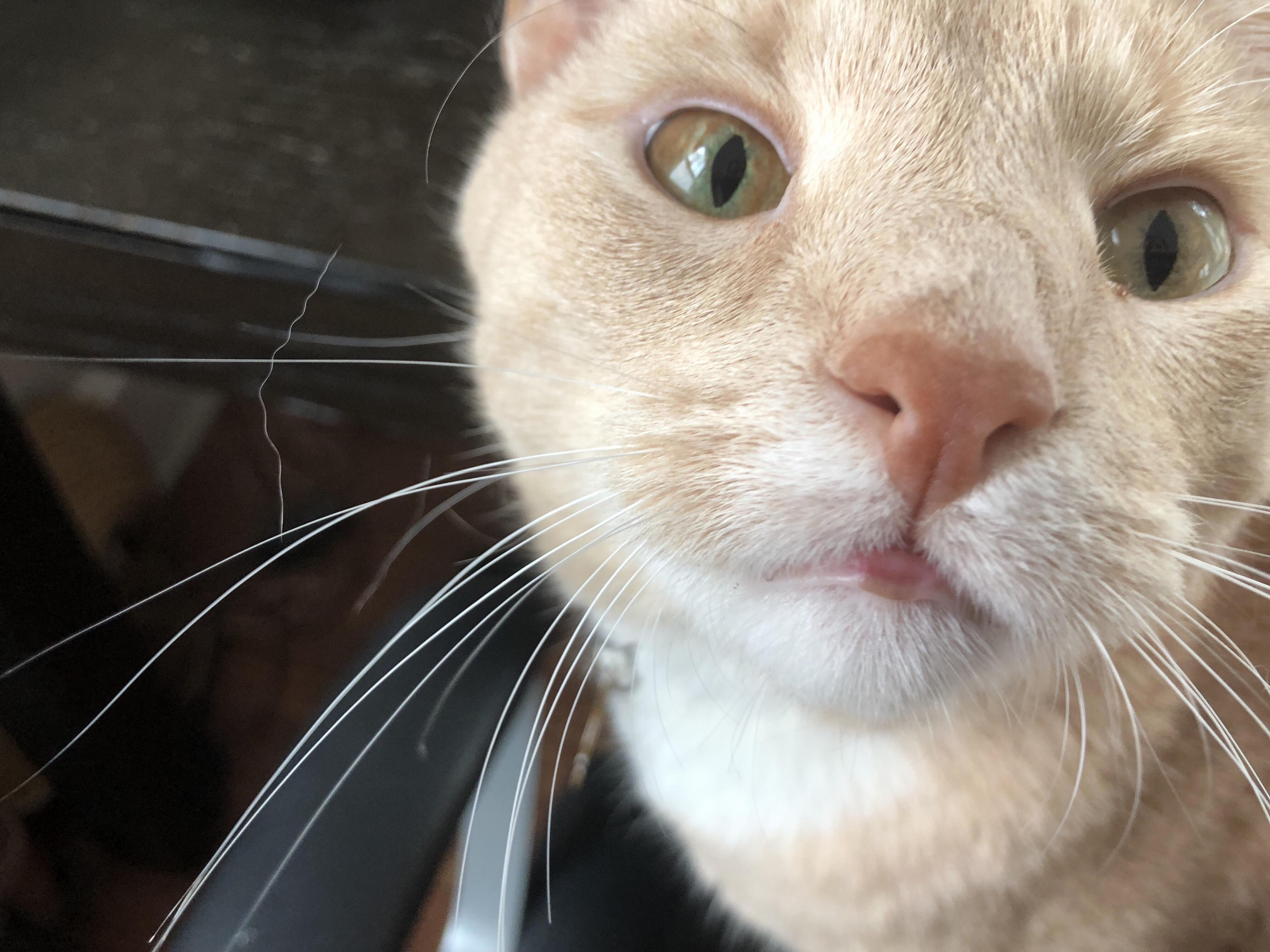 Hey. Youre Doin Ok. Keep Your Chin Up.