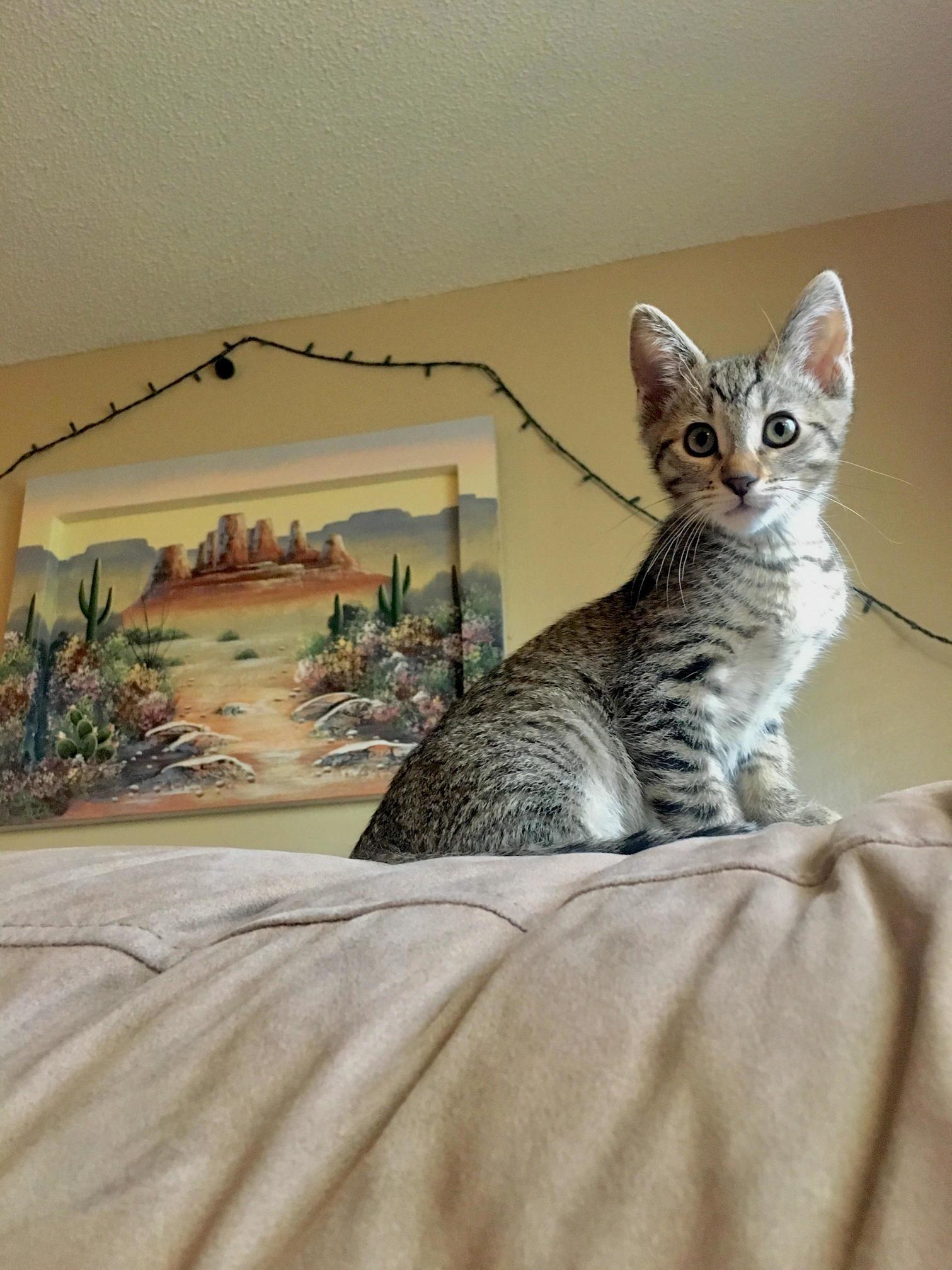 My Baby Is 3 Months Now