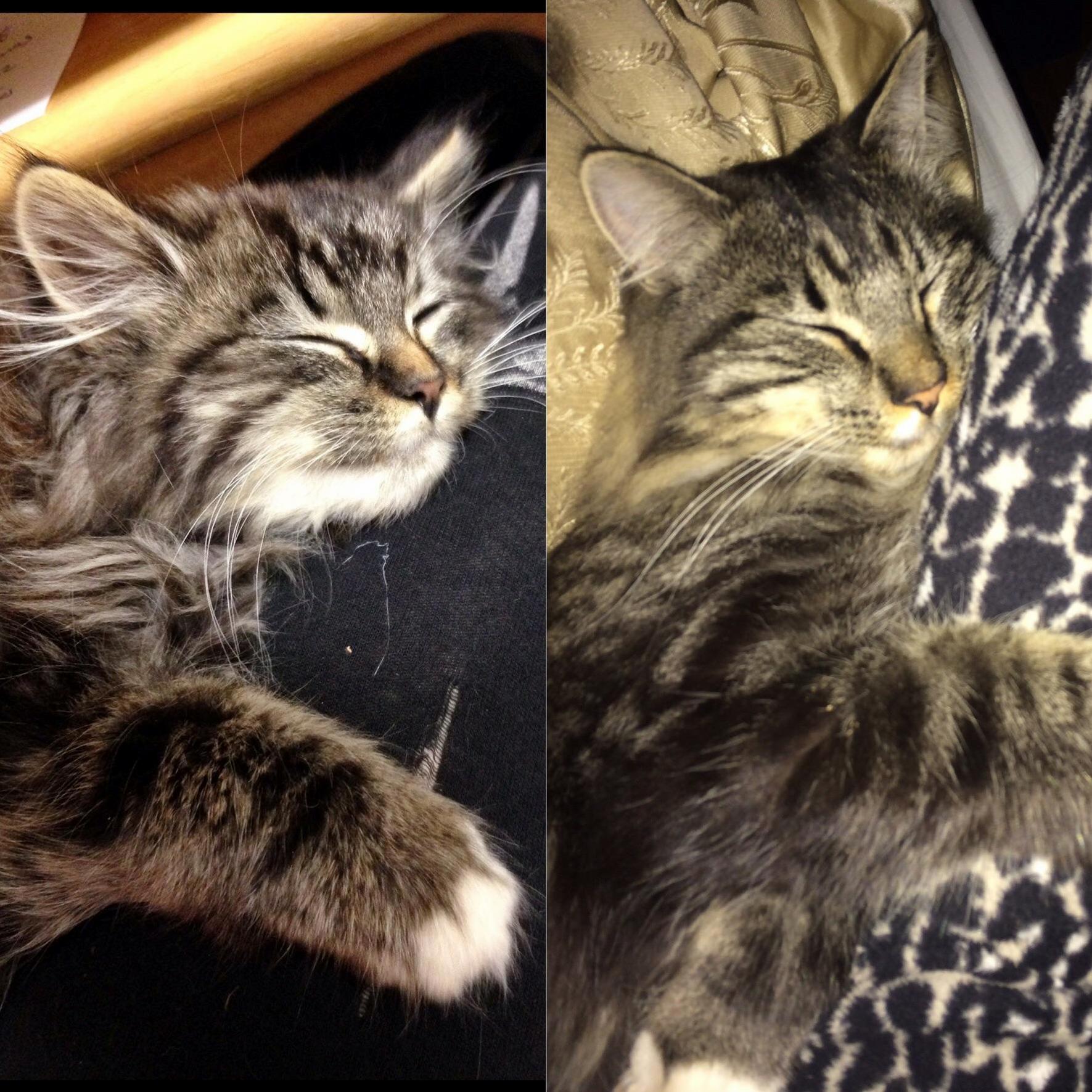 1 Year, Same Habits!