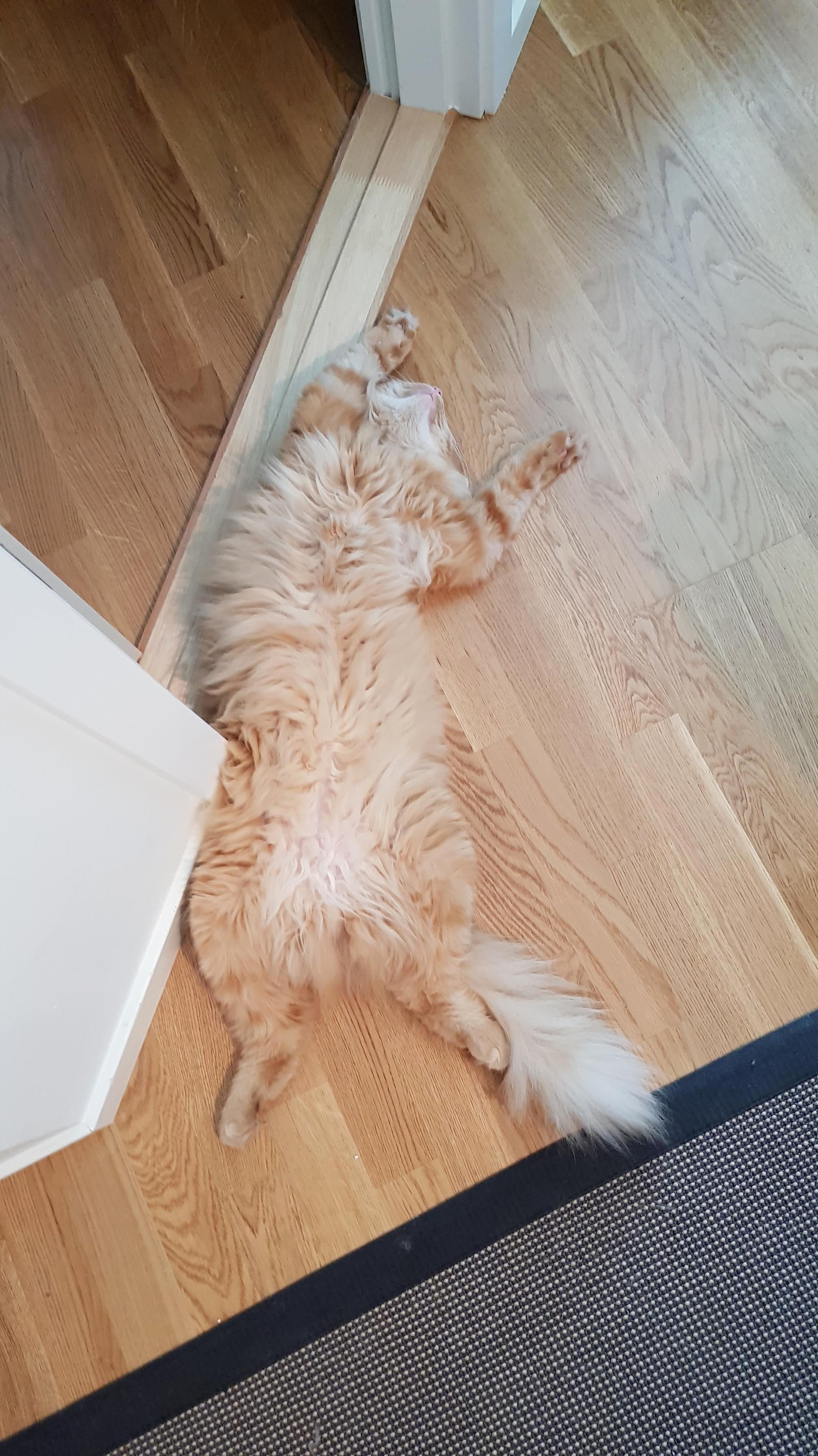 A Bit Warm for Byte #Norway