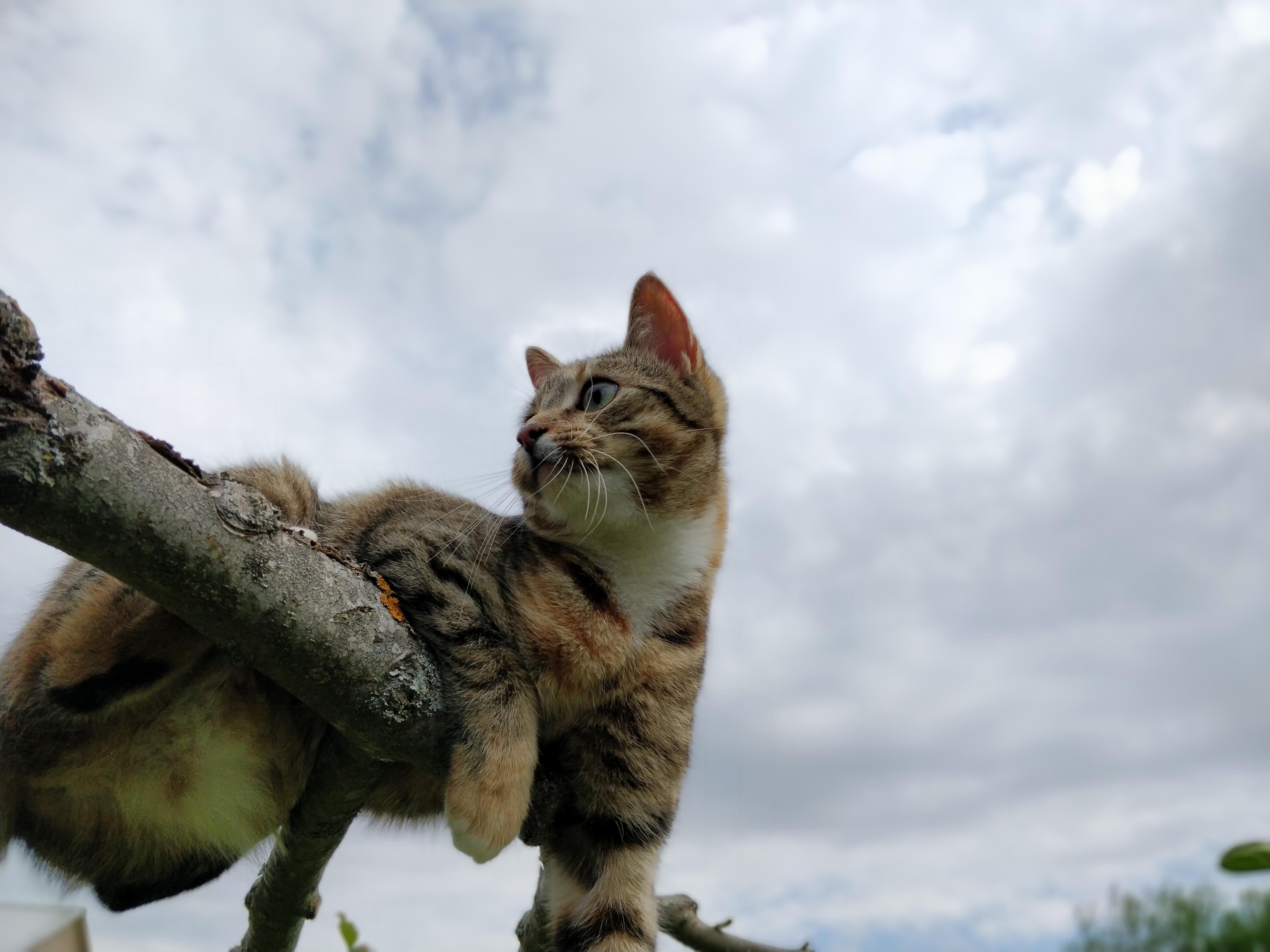 Acending to New Heights.