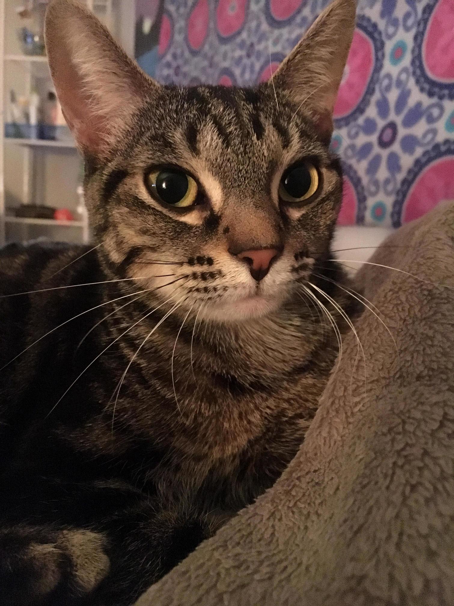 Adopted My Best Friend 6 Months Ago Today.