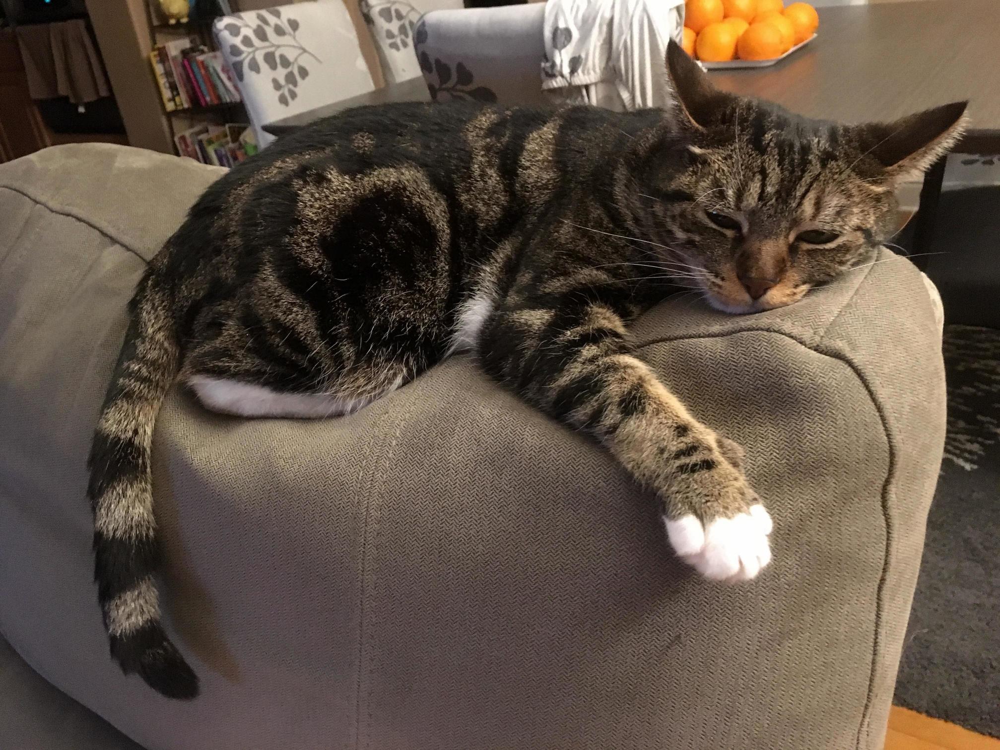After a Long Weekend with Six Adults and Three Small Kids in the House, She Finally Has Her Home Back to Herself.