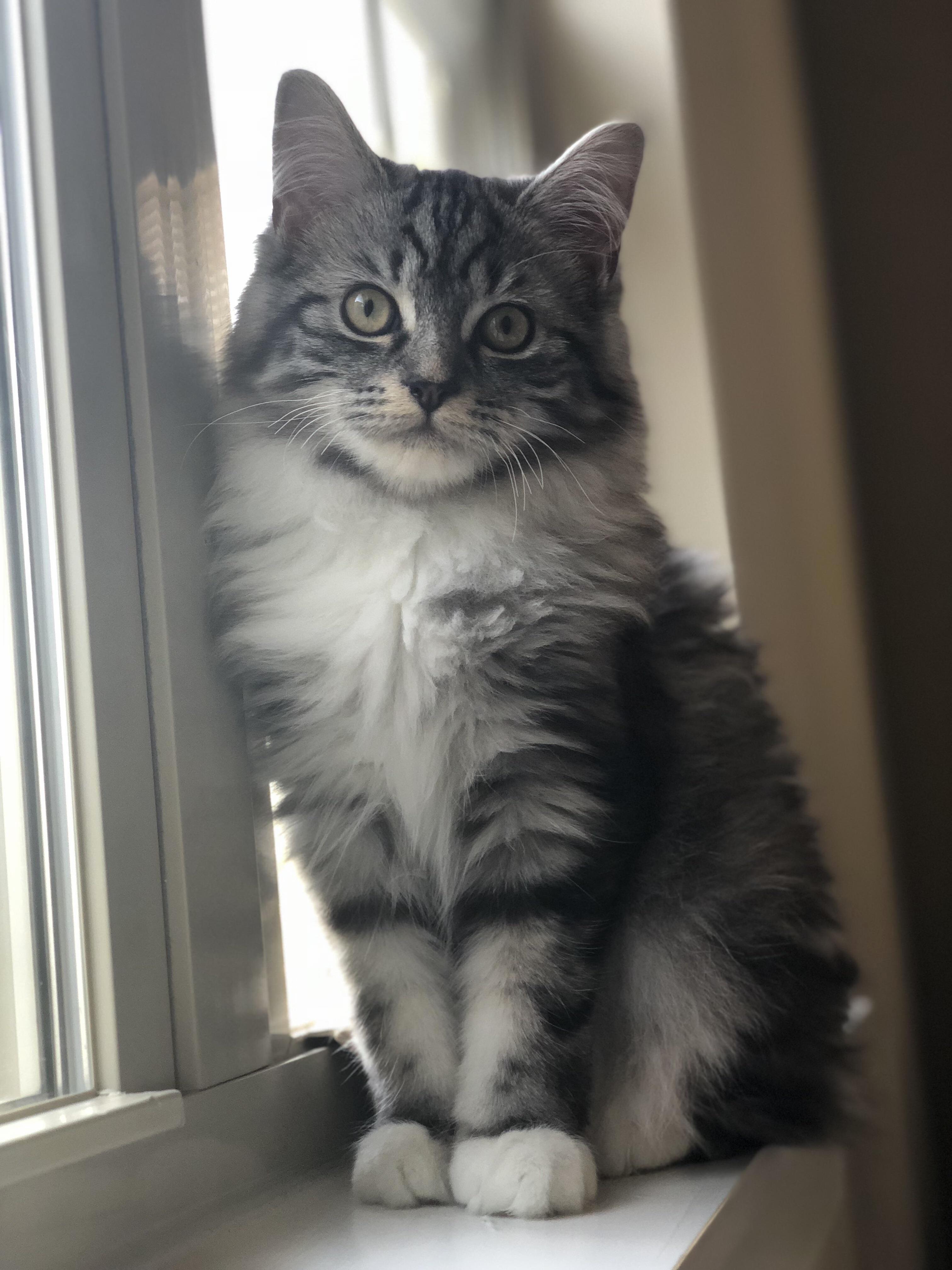 Are You Done Yet