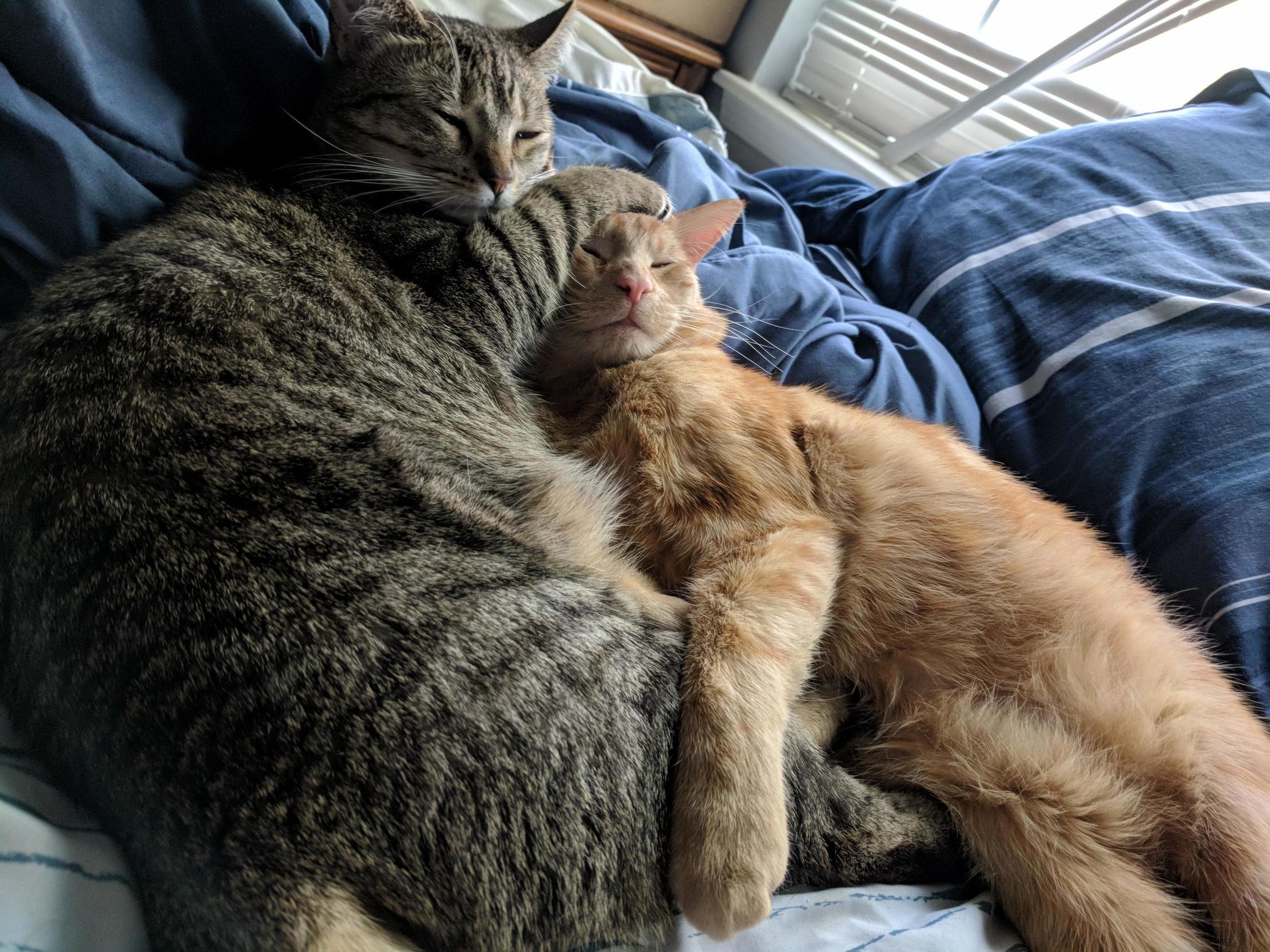 Barbara Is Very Protective of Her Man