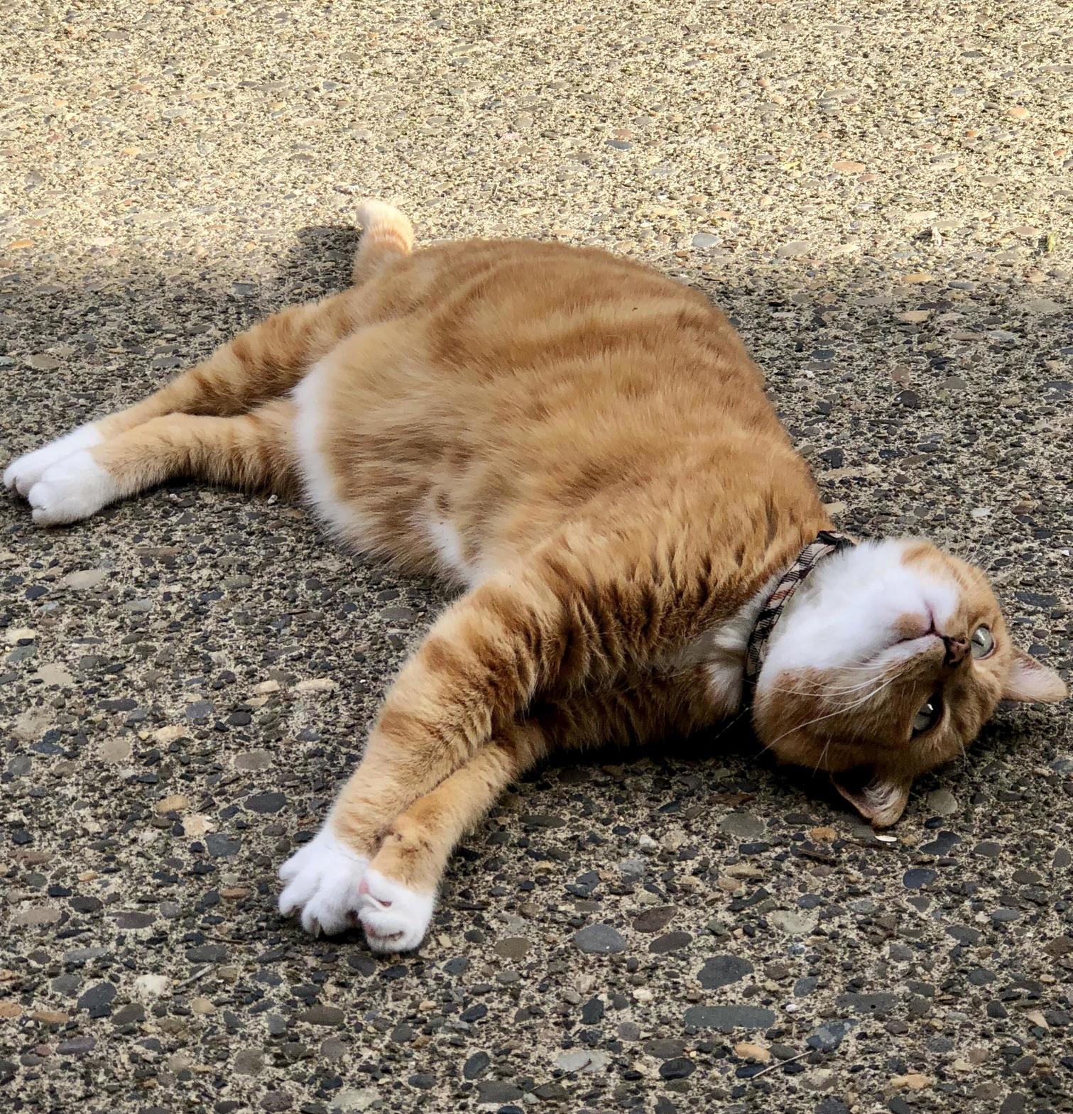 Basking Season Is Upon Us.