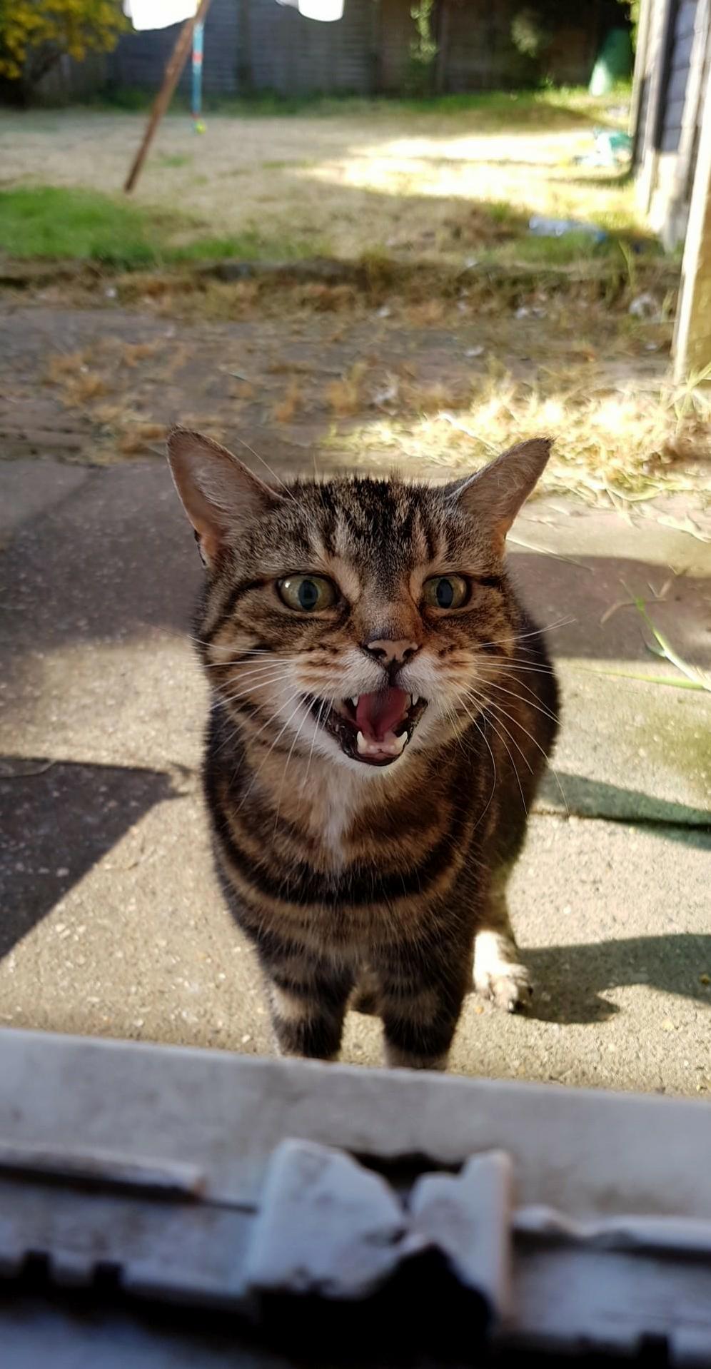 Becky Letting Me Know Its Breakfast