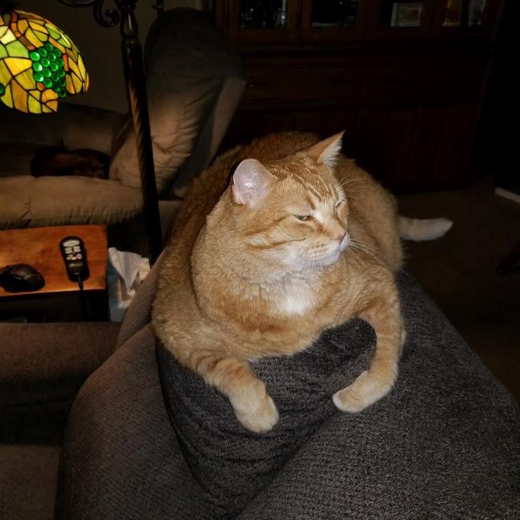 Big Chief Found a New Resting Spot