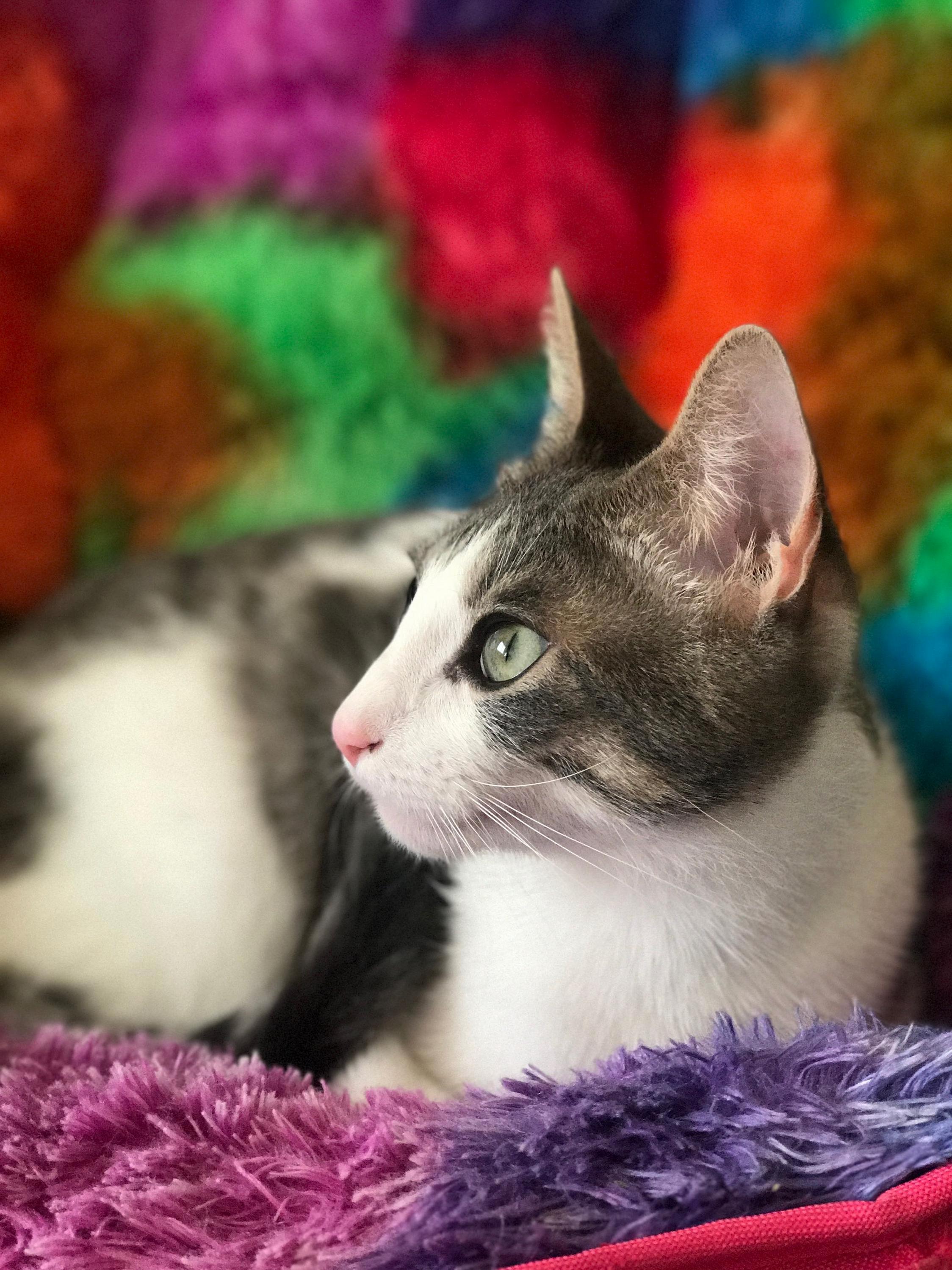 Billy Was Feeling Photogenic