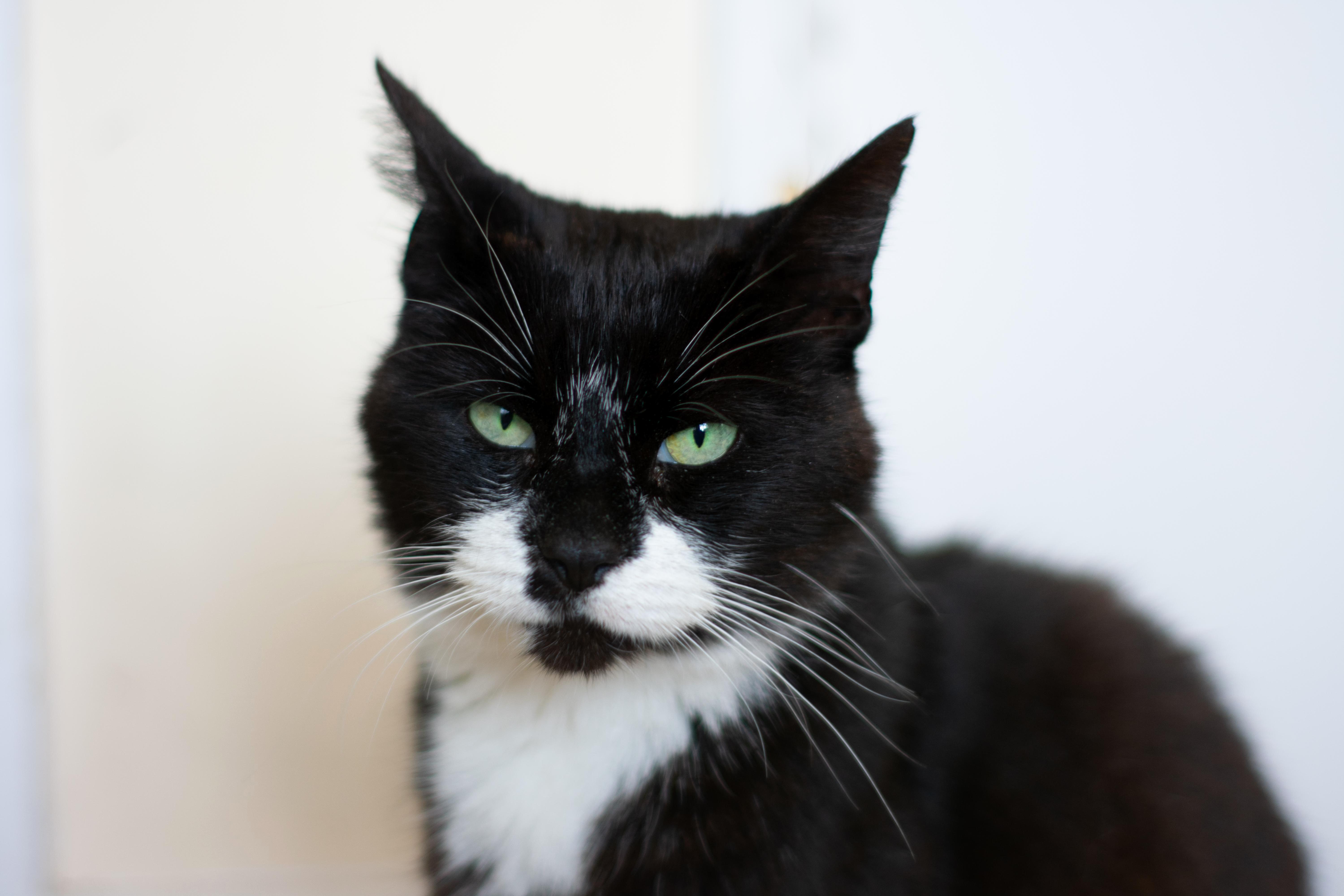 Bob Is Not Impressed