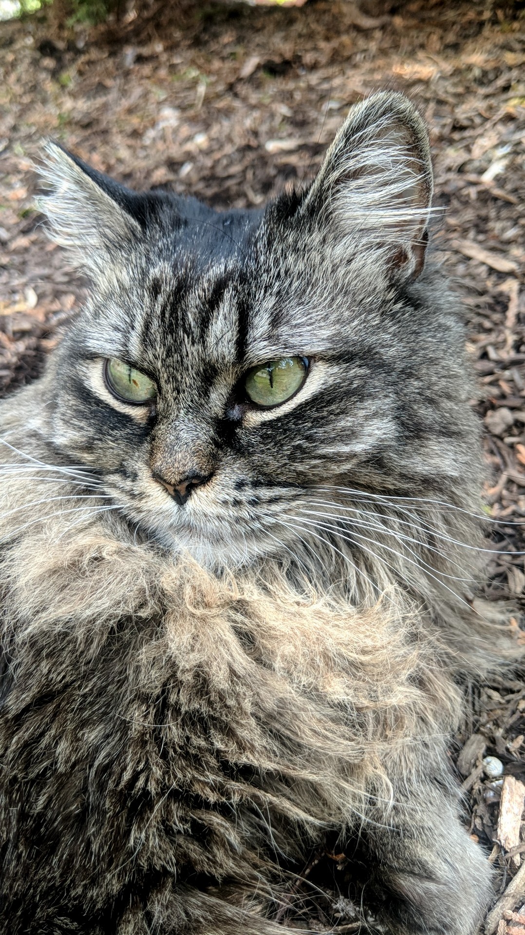 Claire Enjoys Sunshine