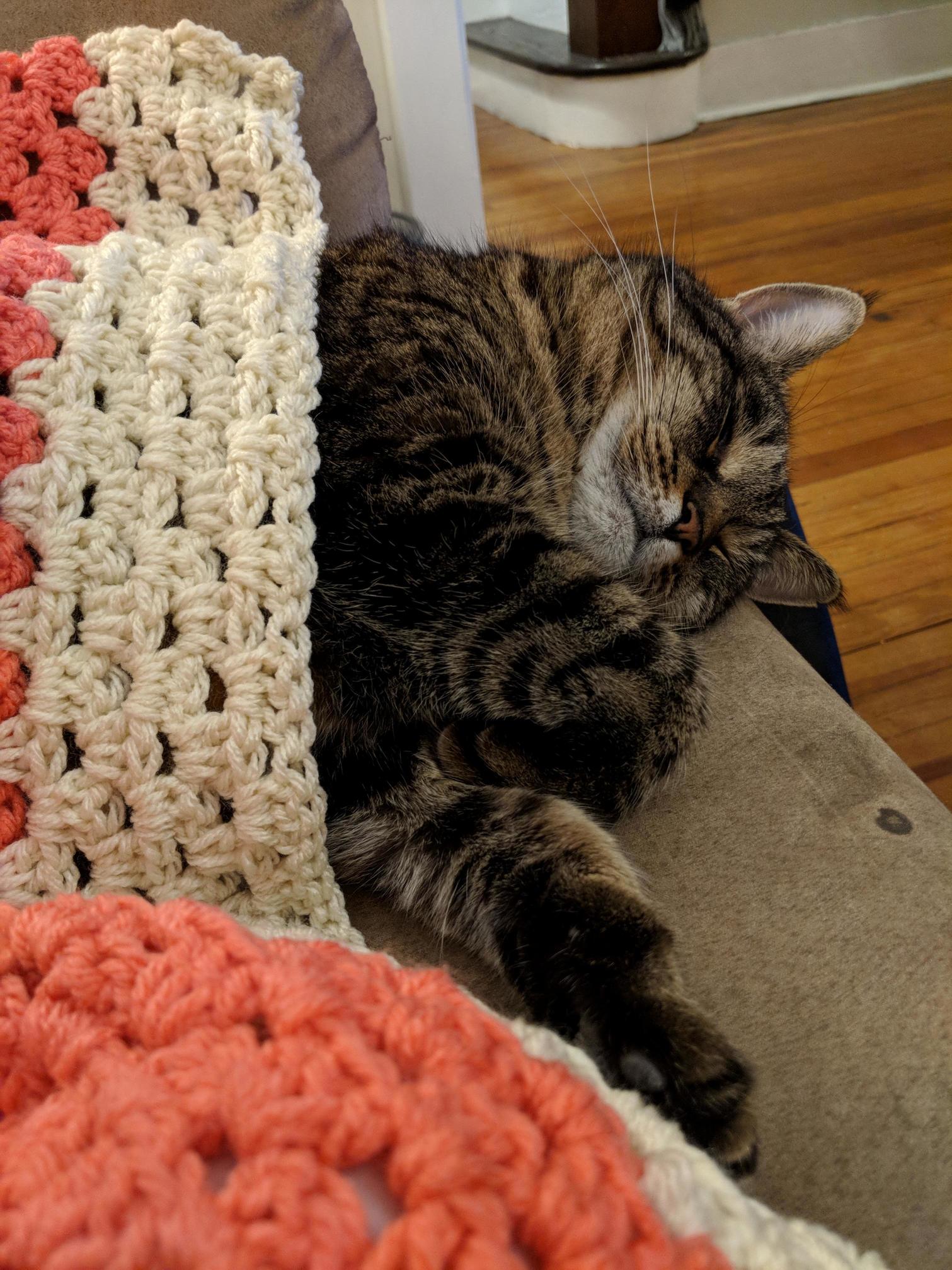 Craft Time = Nap Time