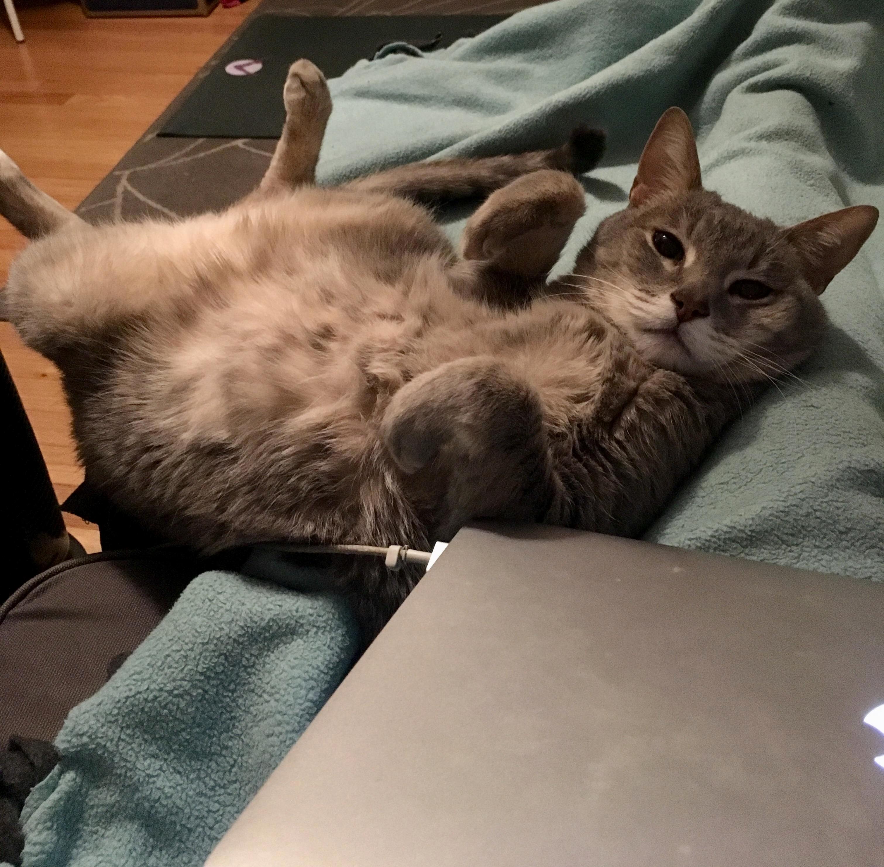 Dont Mind Me. Just Hanging Out.