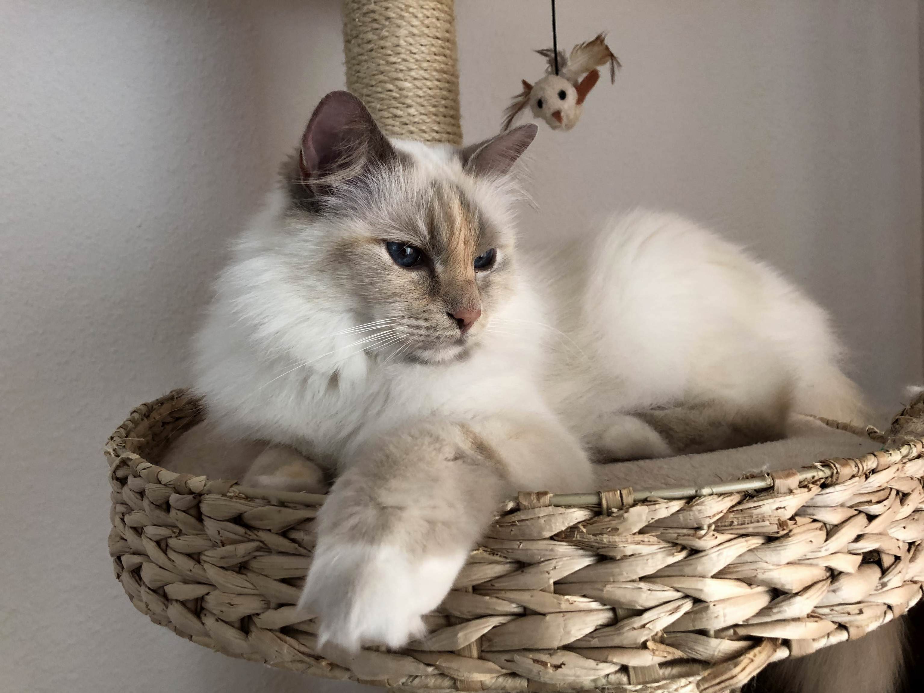 Emmy Being Elegant As Always