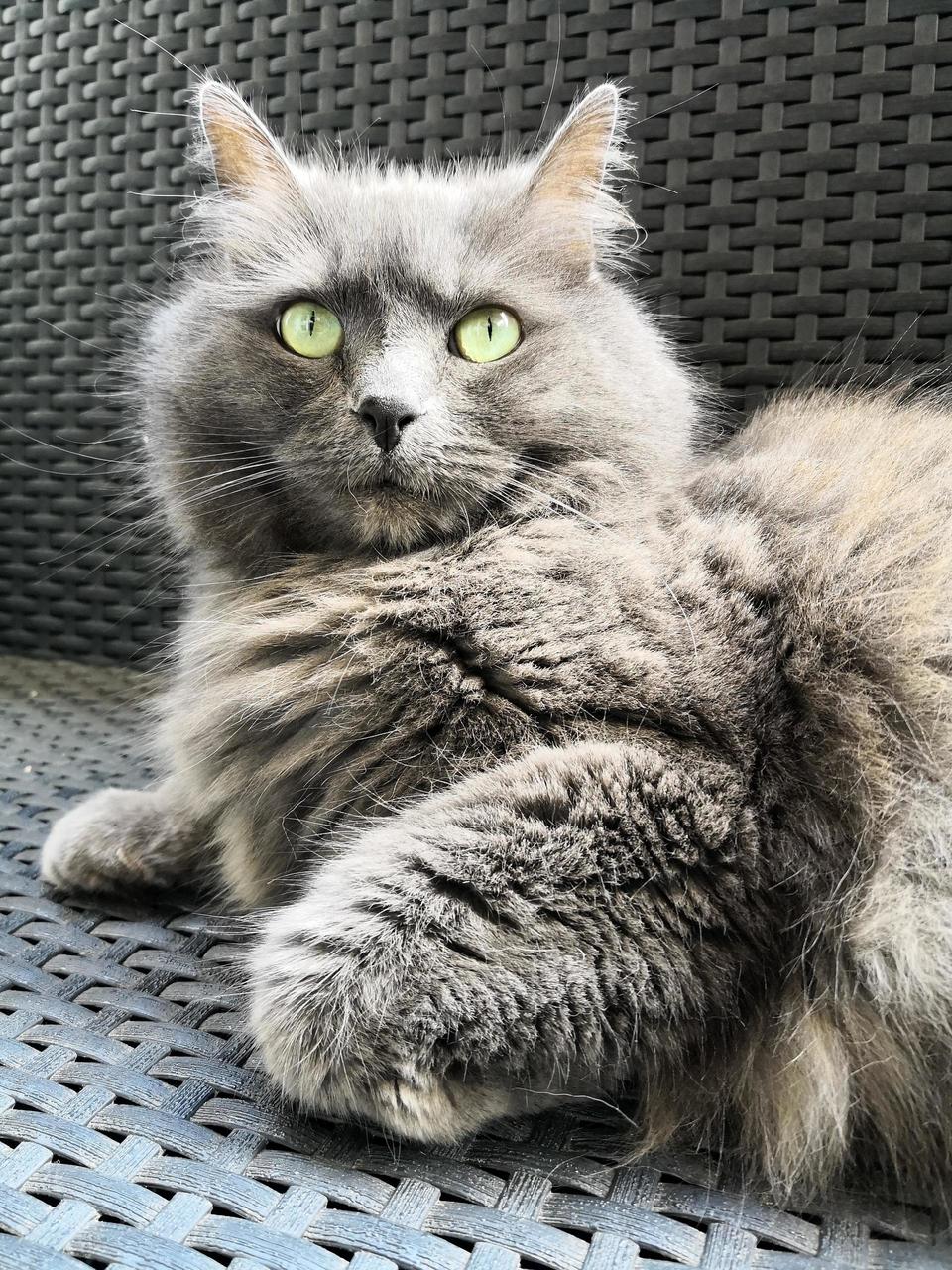 Enjoying a Good Sunbath