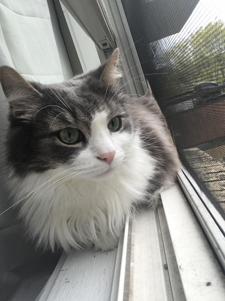 Enjoying the View