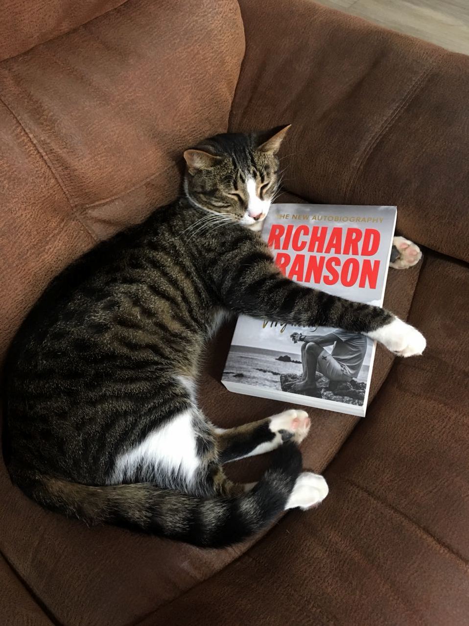 Entrepreneur Cat Looses His Virginity!