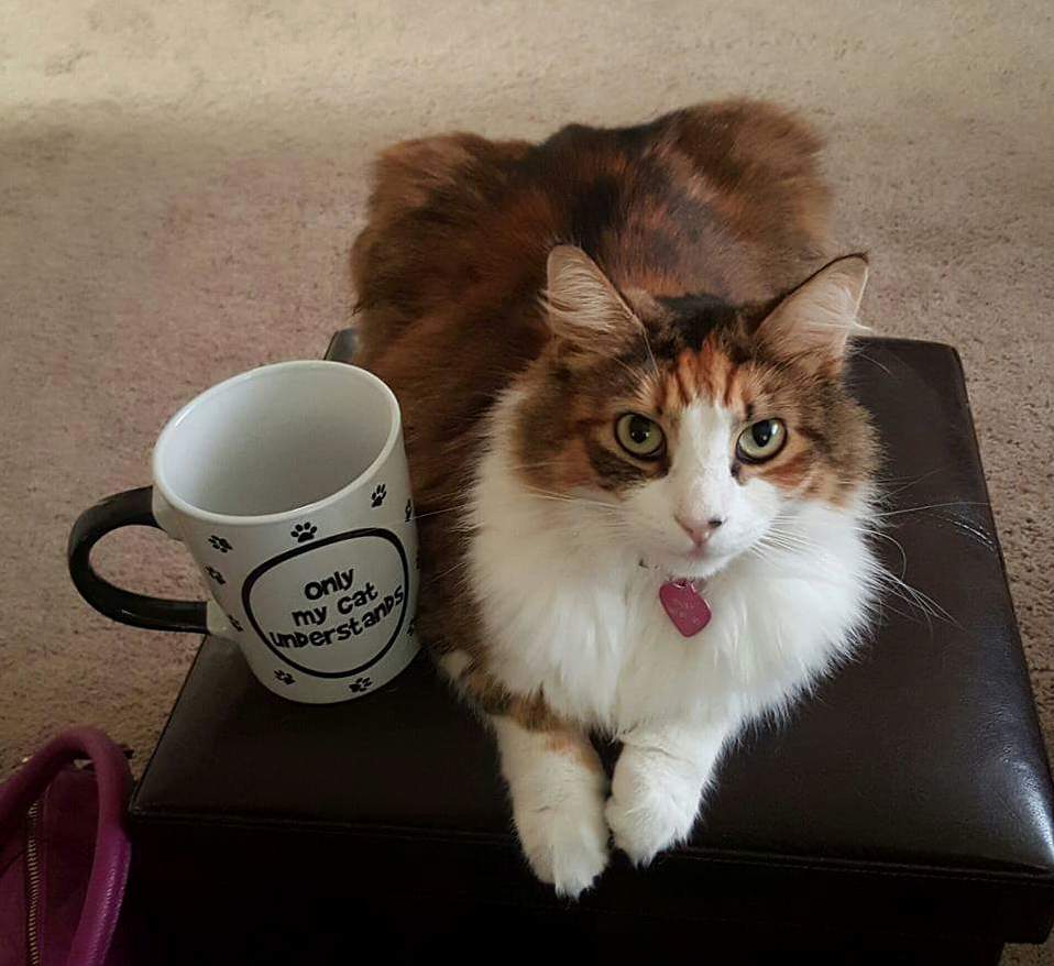 Everyone Meet Daisy!