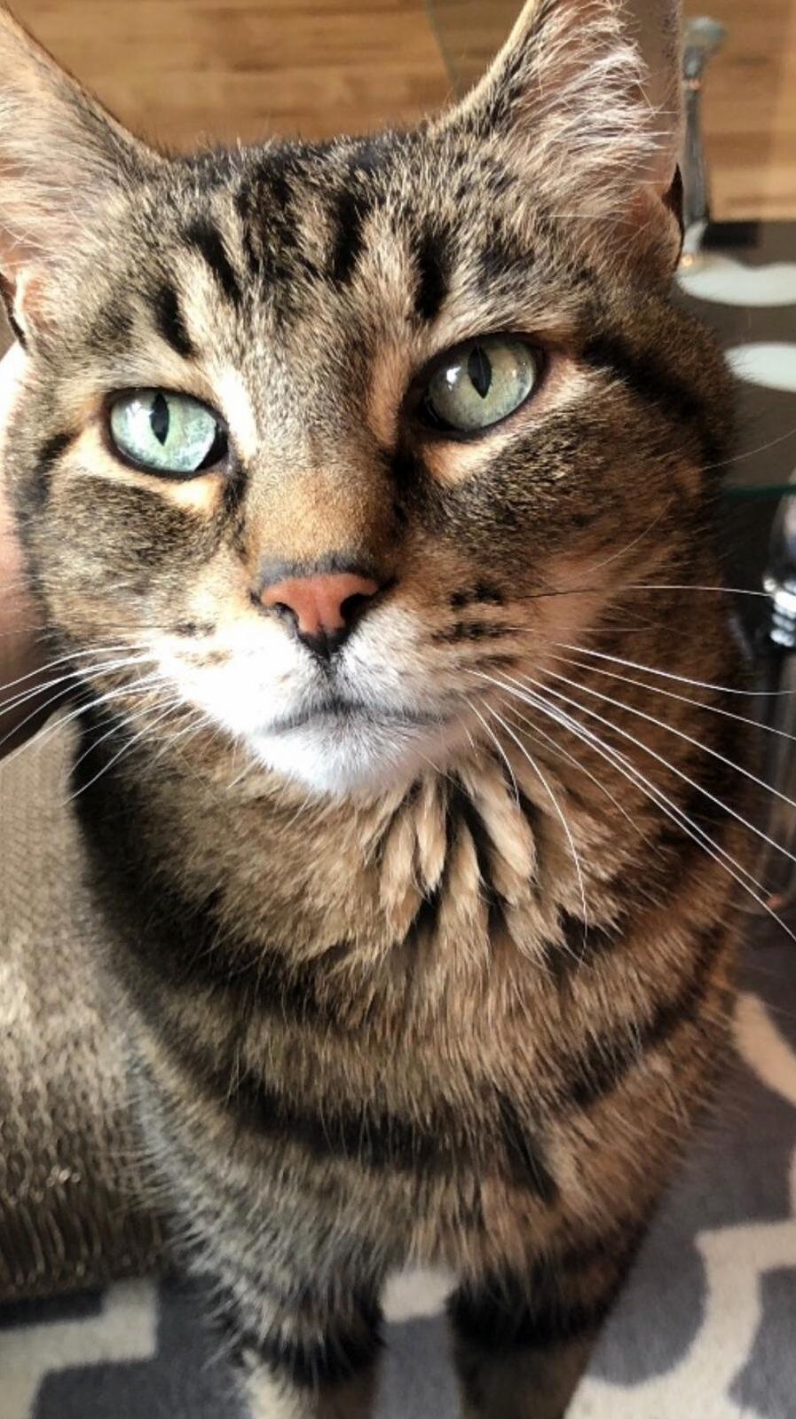 Excuse Me. I Believe It Is Time for You to Feed Me.