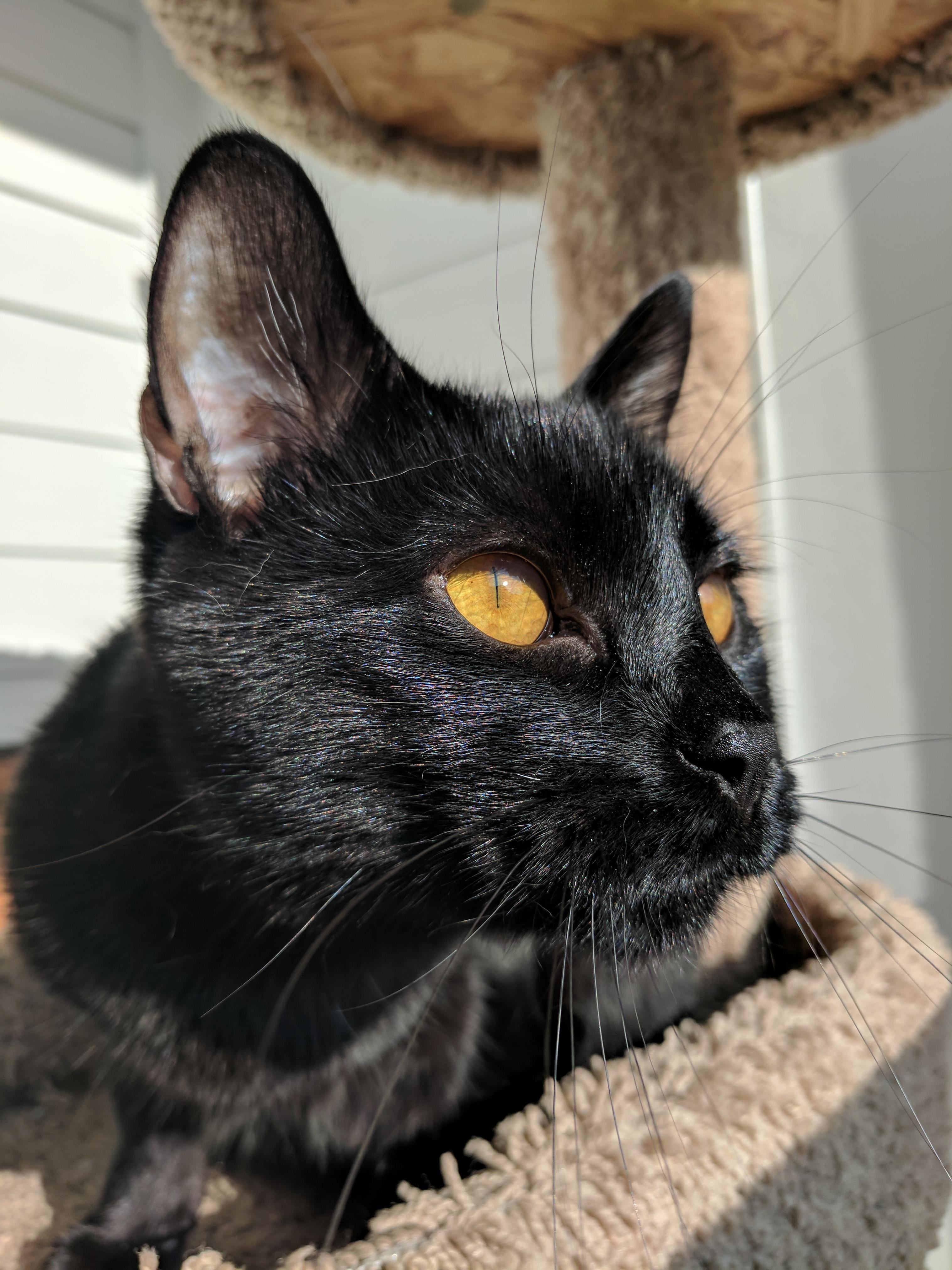 Eye of Sauron