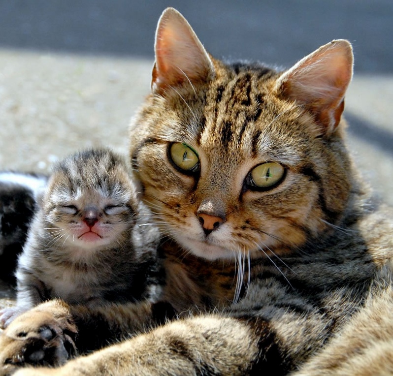 Family Pic