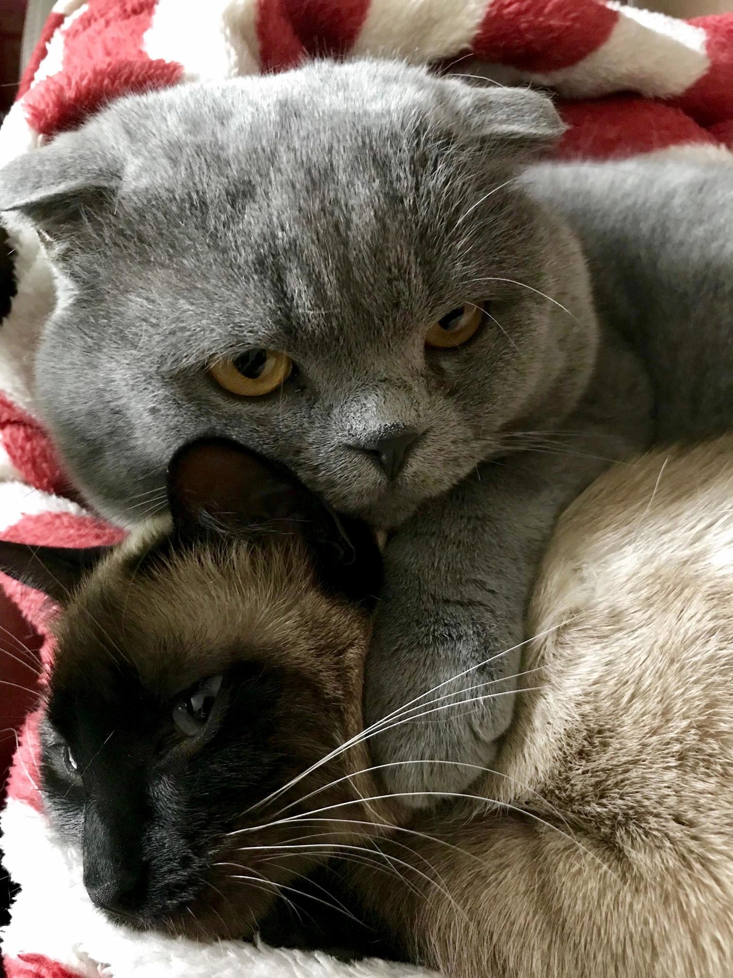 Favorite Couple Showing Off Their Love