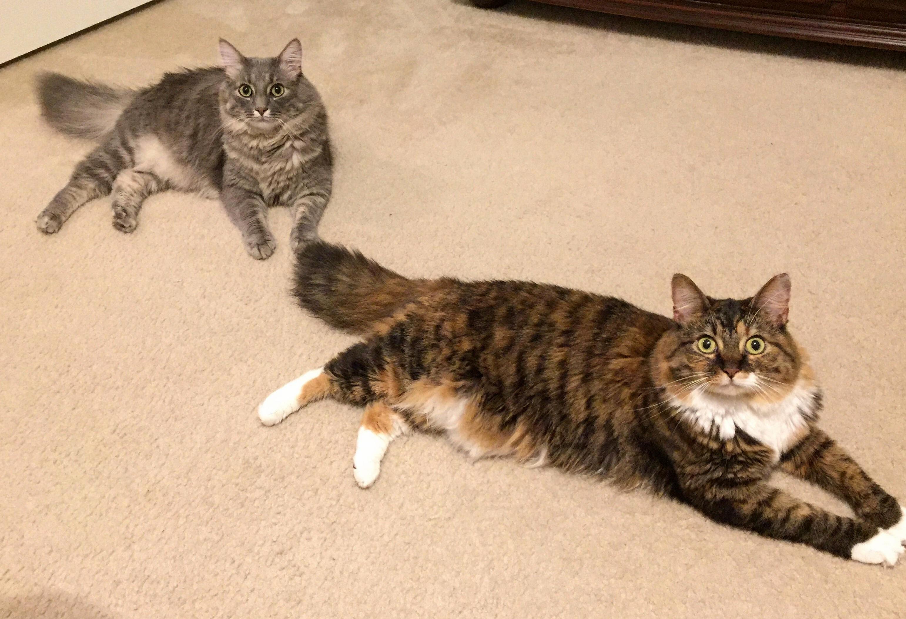 Good Morning. Feed Us.