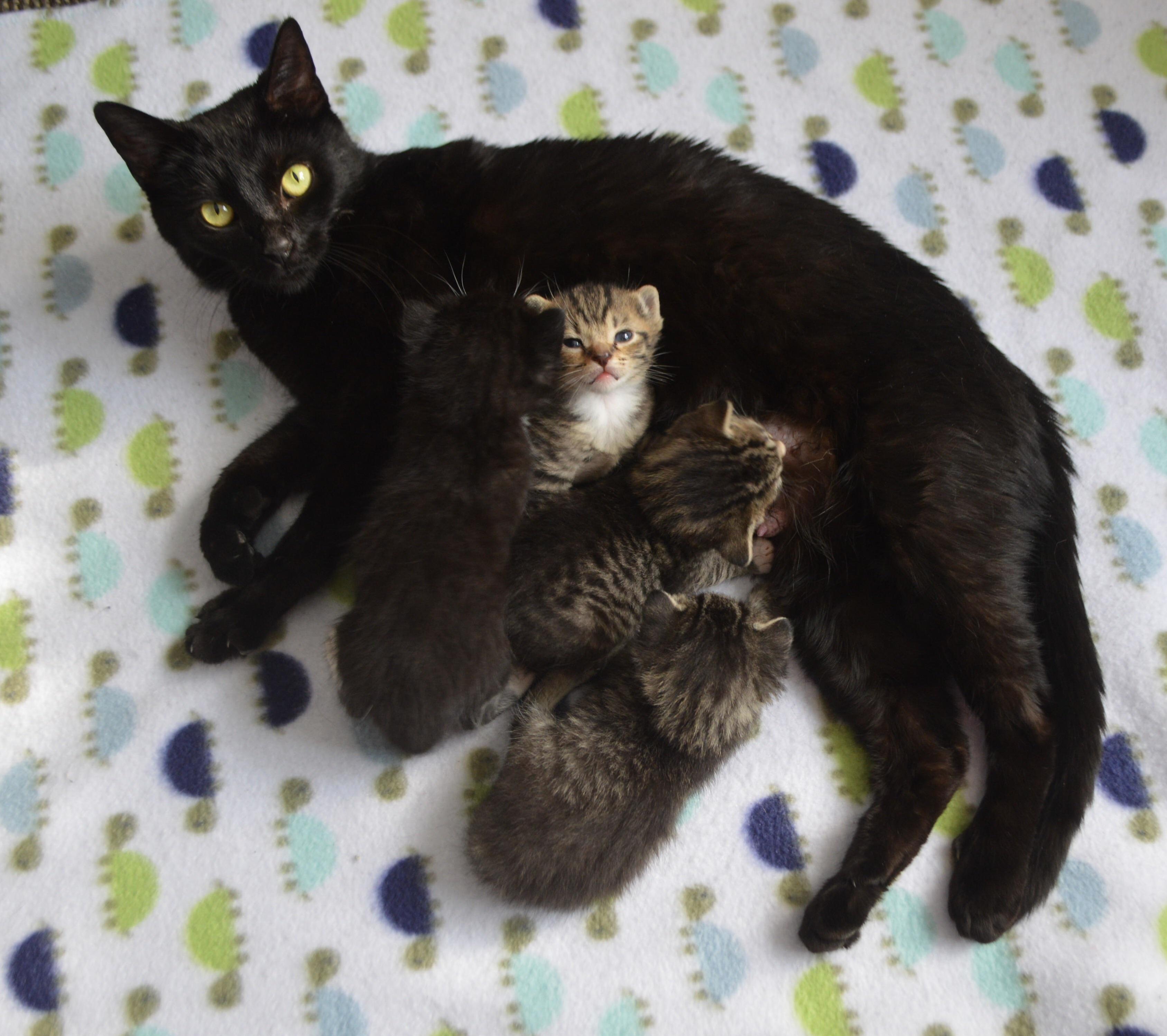 Happy Mothers Day from Mama Loa!